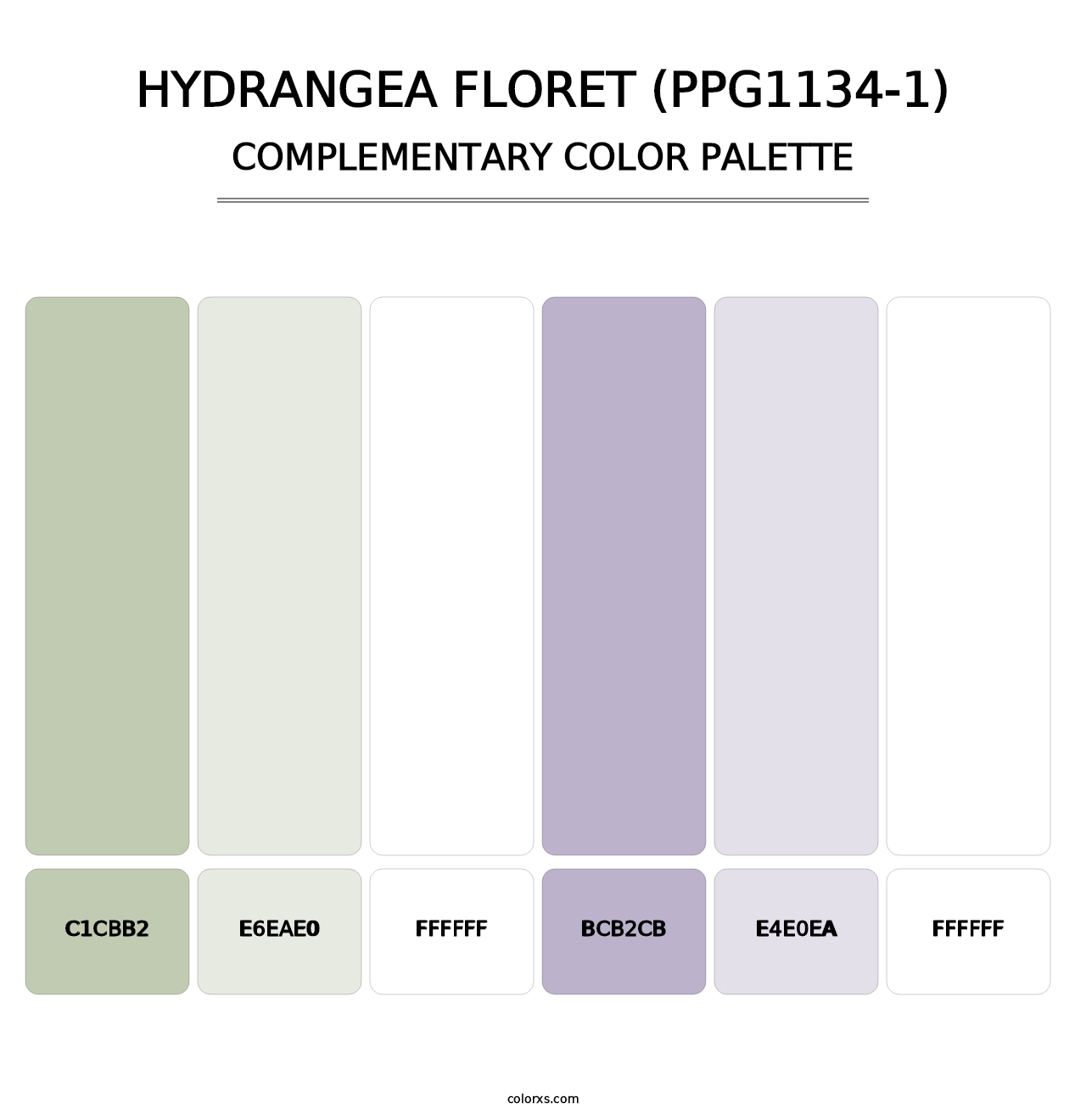 Hydrangea Floret (PPG1134-1) - Complementary Color Palette