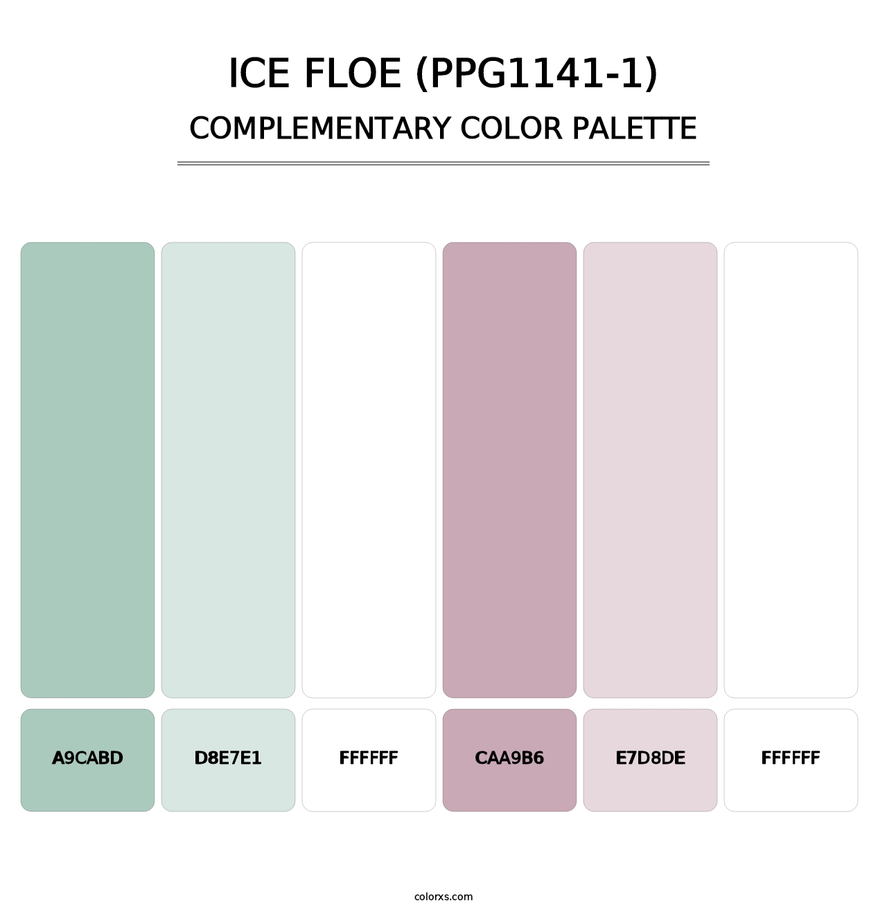 Ice Floe (PPG1141-1) - Complementary Color Palette