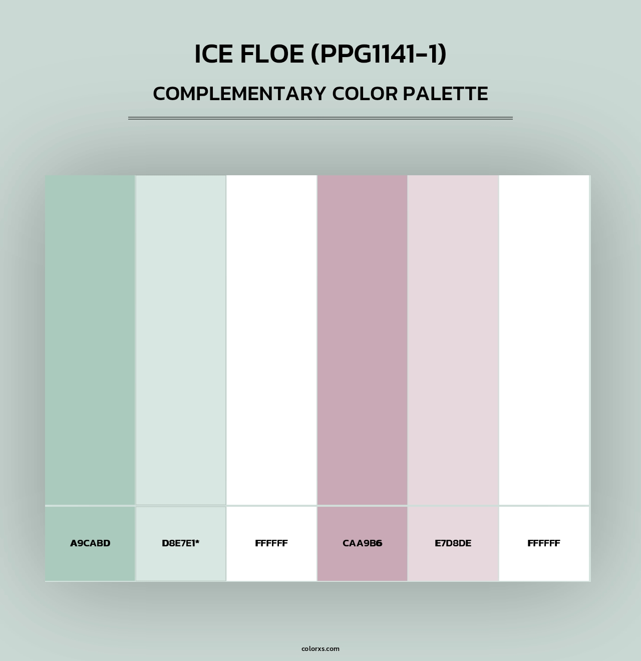 Ice Floe (PPG1141-1) - Complementary Color Palette