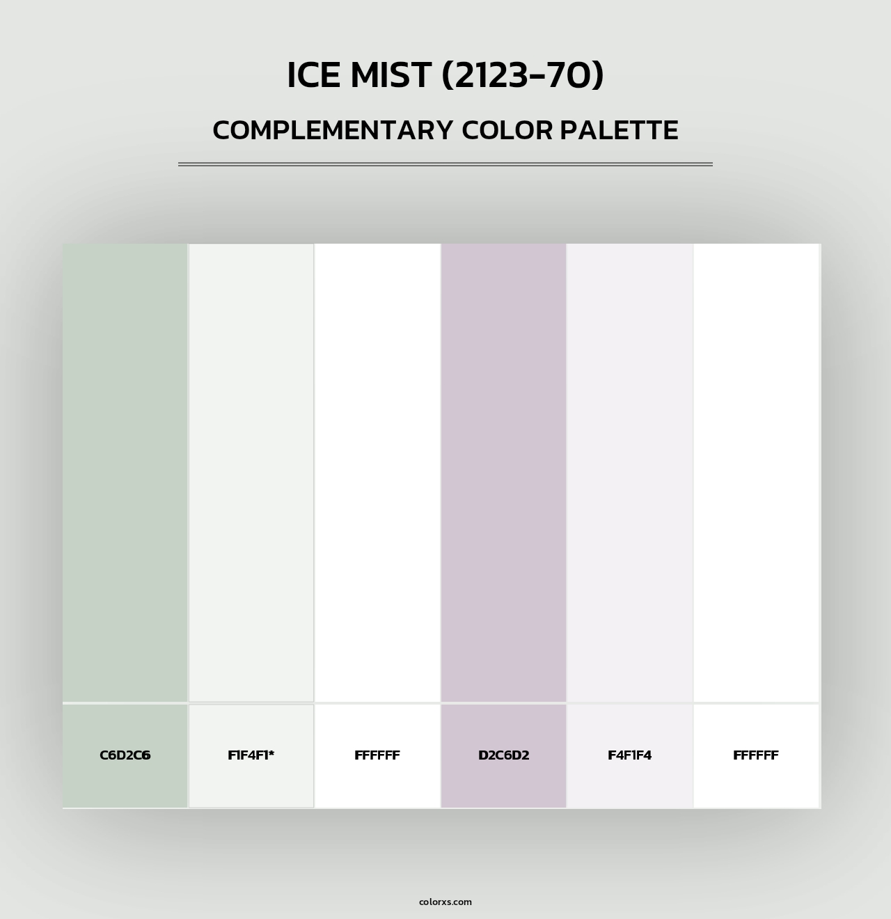 Ice Mist (2123-70) - Complementary Color Palette