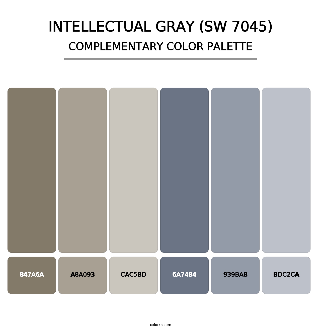 Intellectual Gray (SW 7045) - Complementary Color Palette