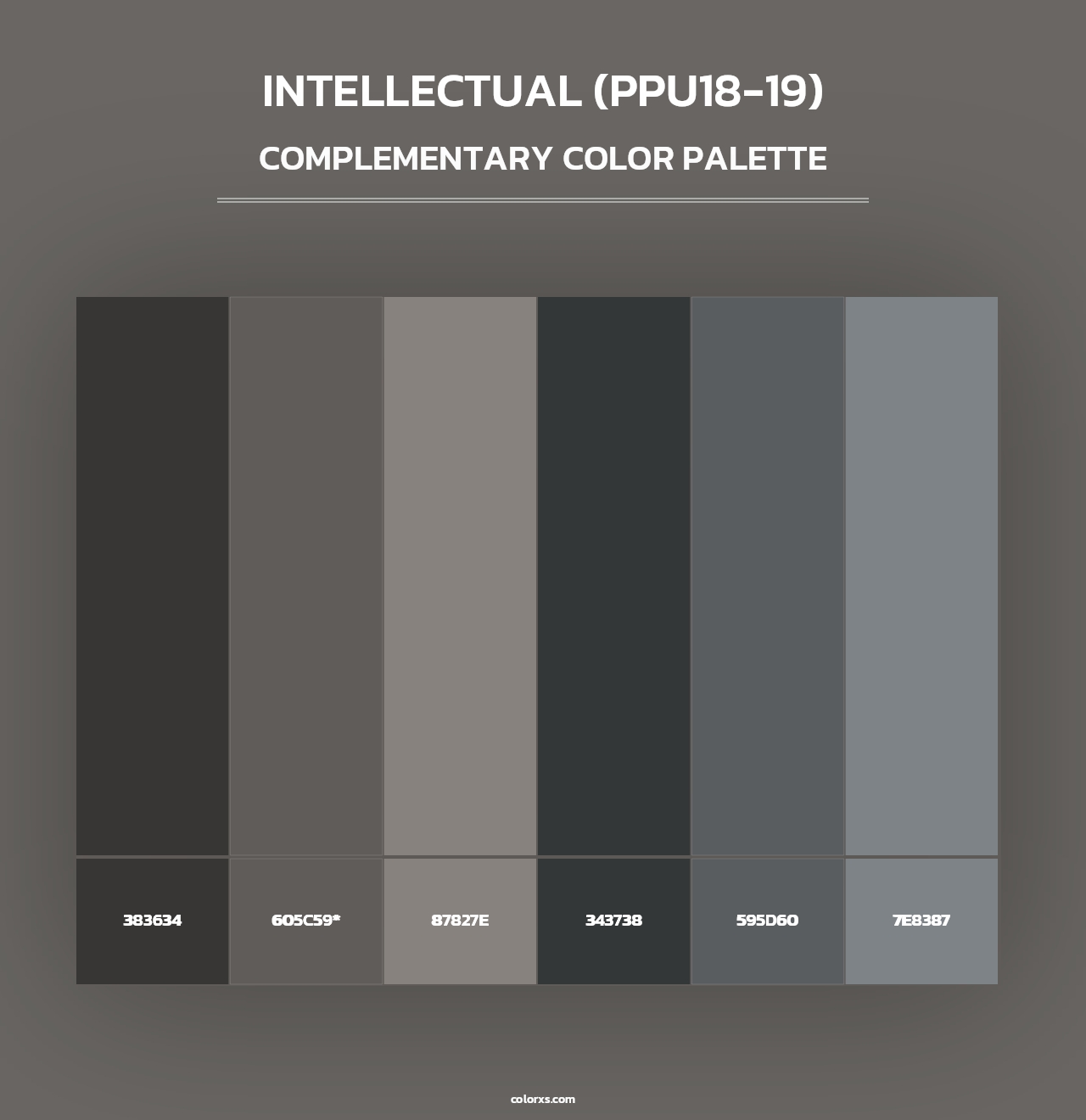 Intellectual (PPU18-19) - Complementary Color Palette