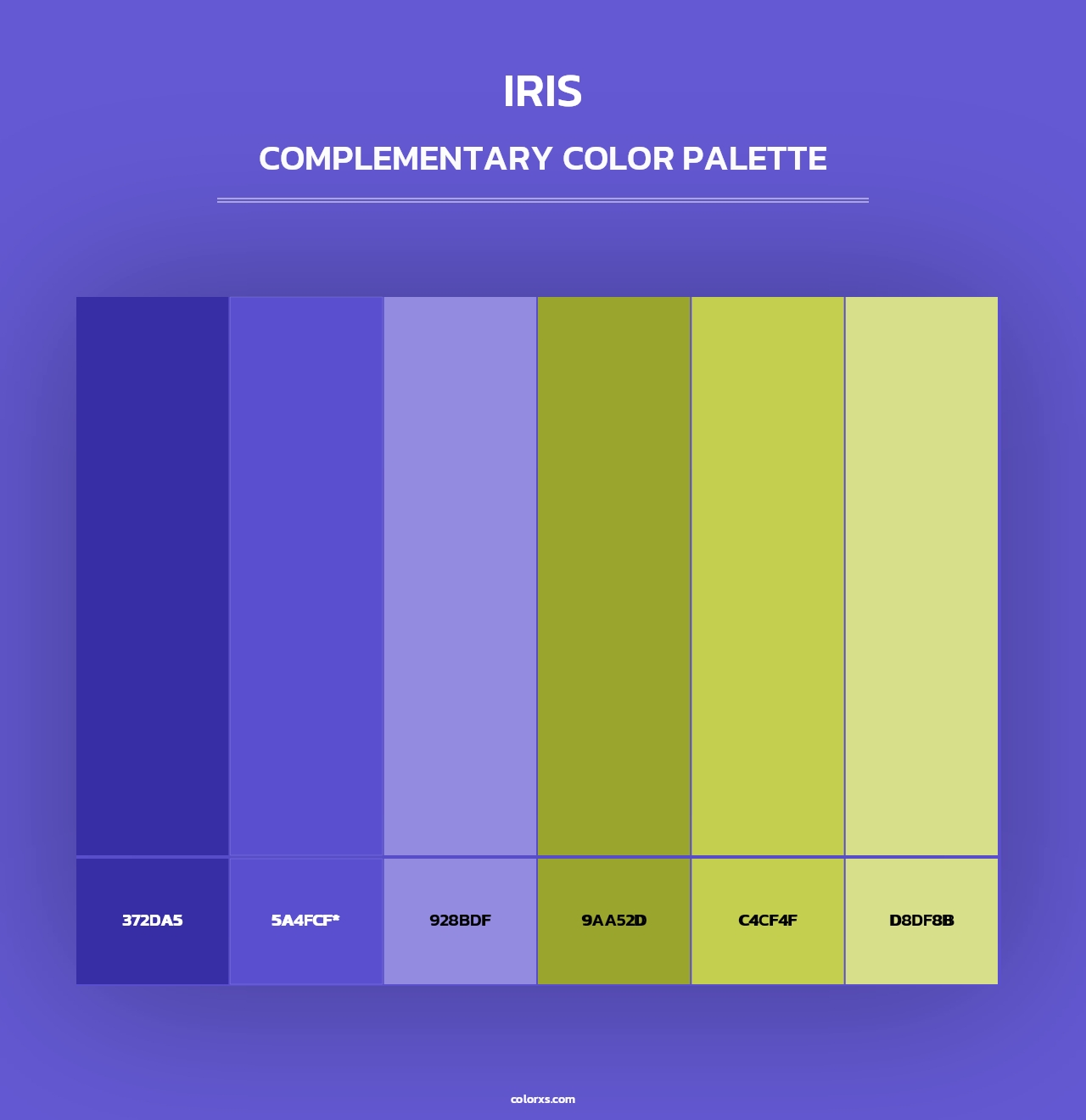 Iris - Complementary Color Palette