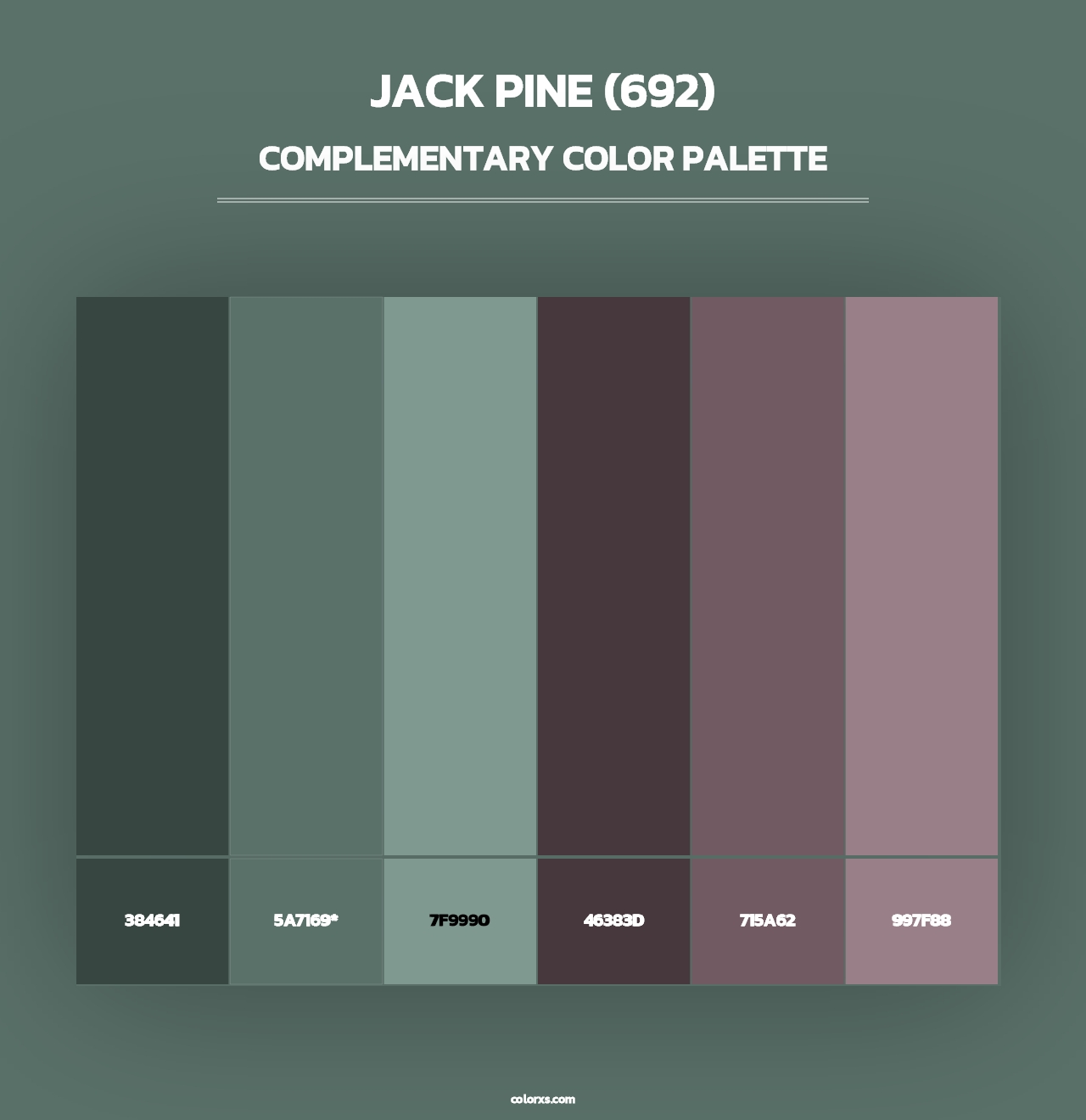 Jack Pine (692) - Complementary Color Palette