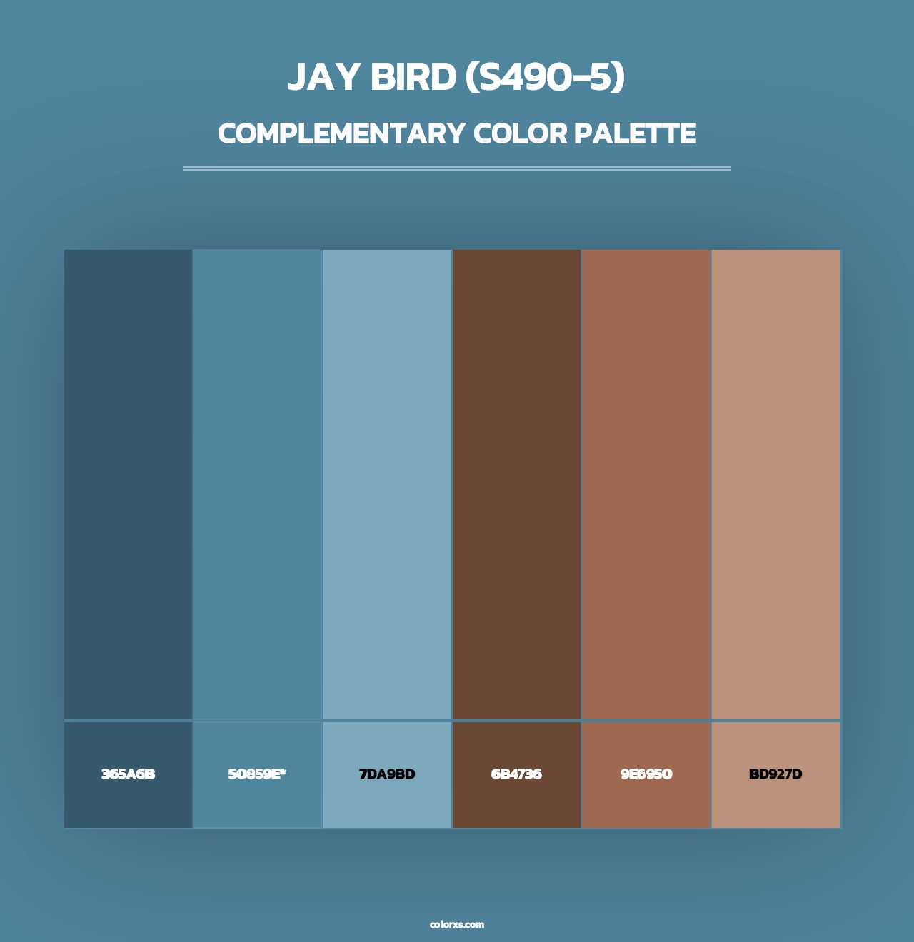 Jay Bird (S490-5) - Complementary Color Palette