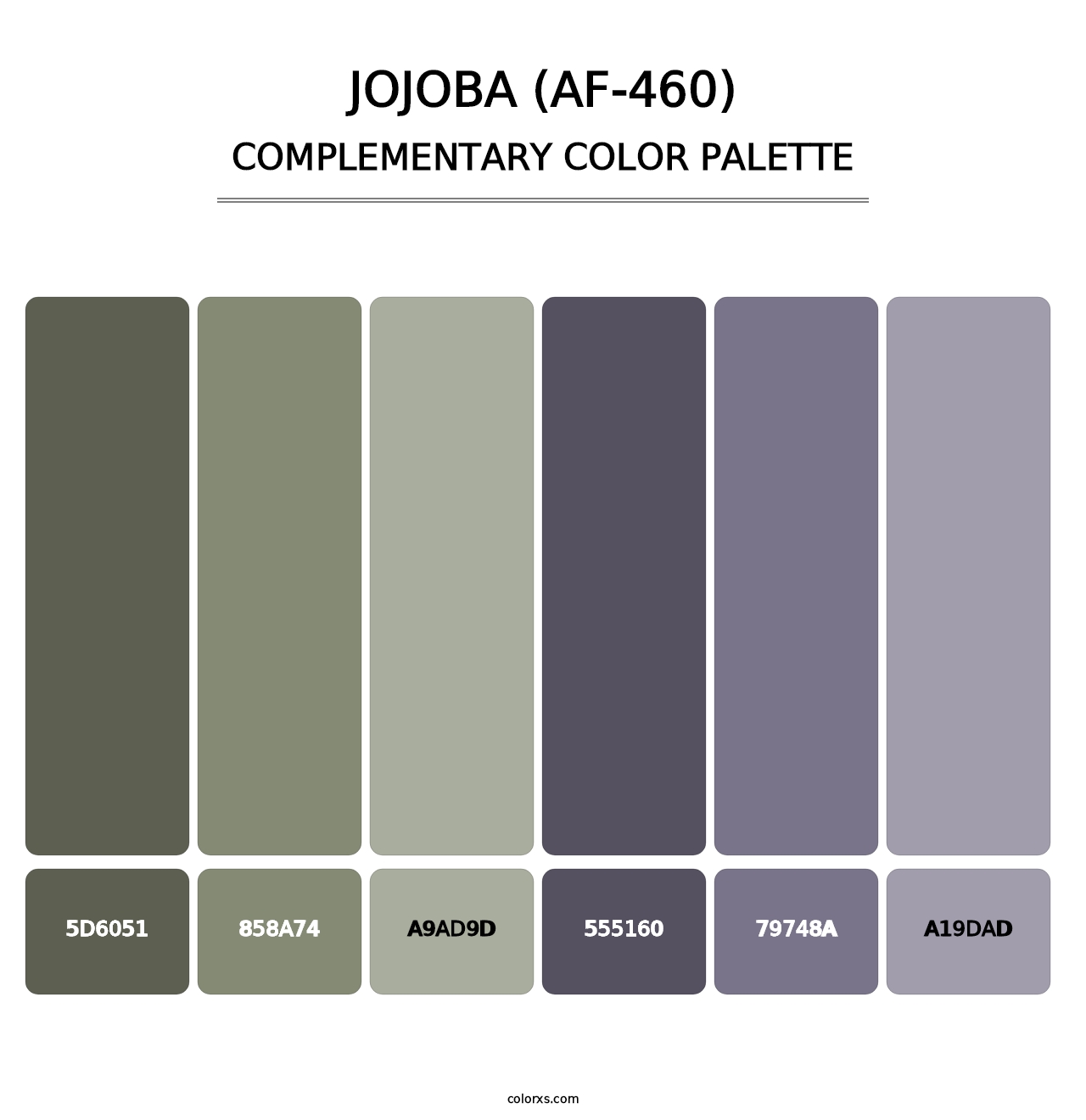 Jojoba (AF-460) - Complementary Color Palette