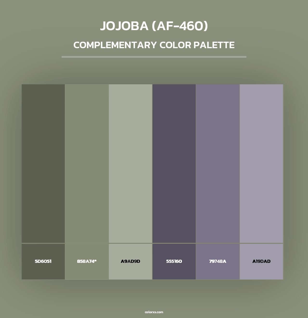 Jojoba (AF-460) - Complementary Color Palette