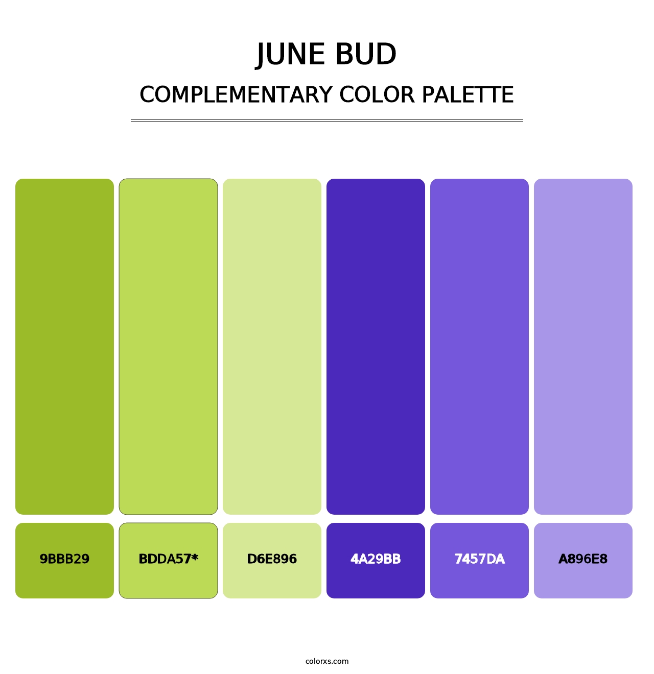 June Bud - Complementary Color Palette
