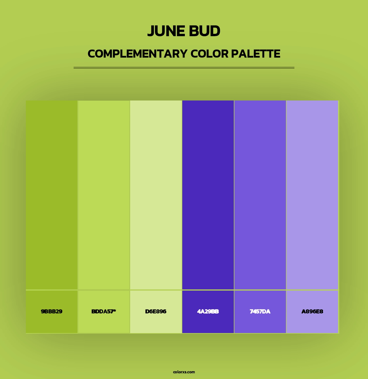 June Bud - Complementary Color Palette