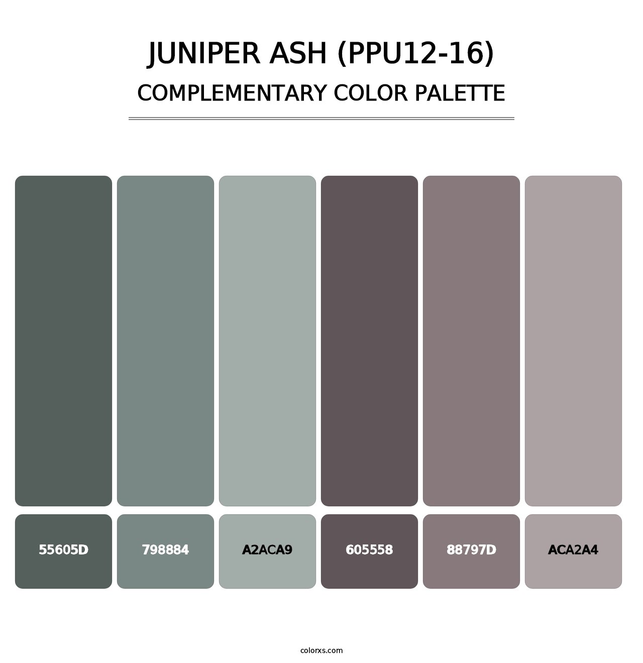 Juniper Ash (PPU12-16) - Complementary Color Palette