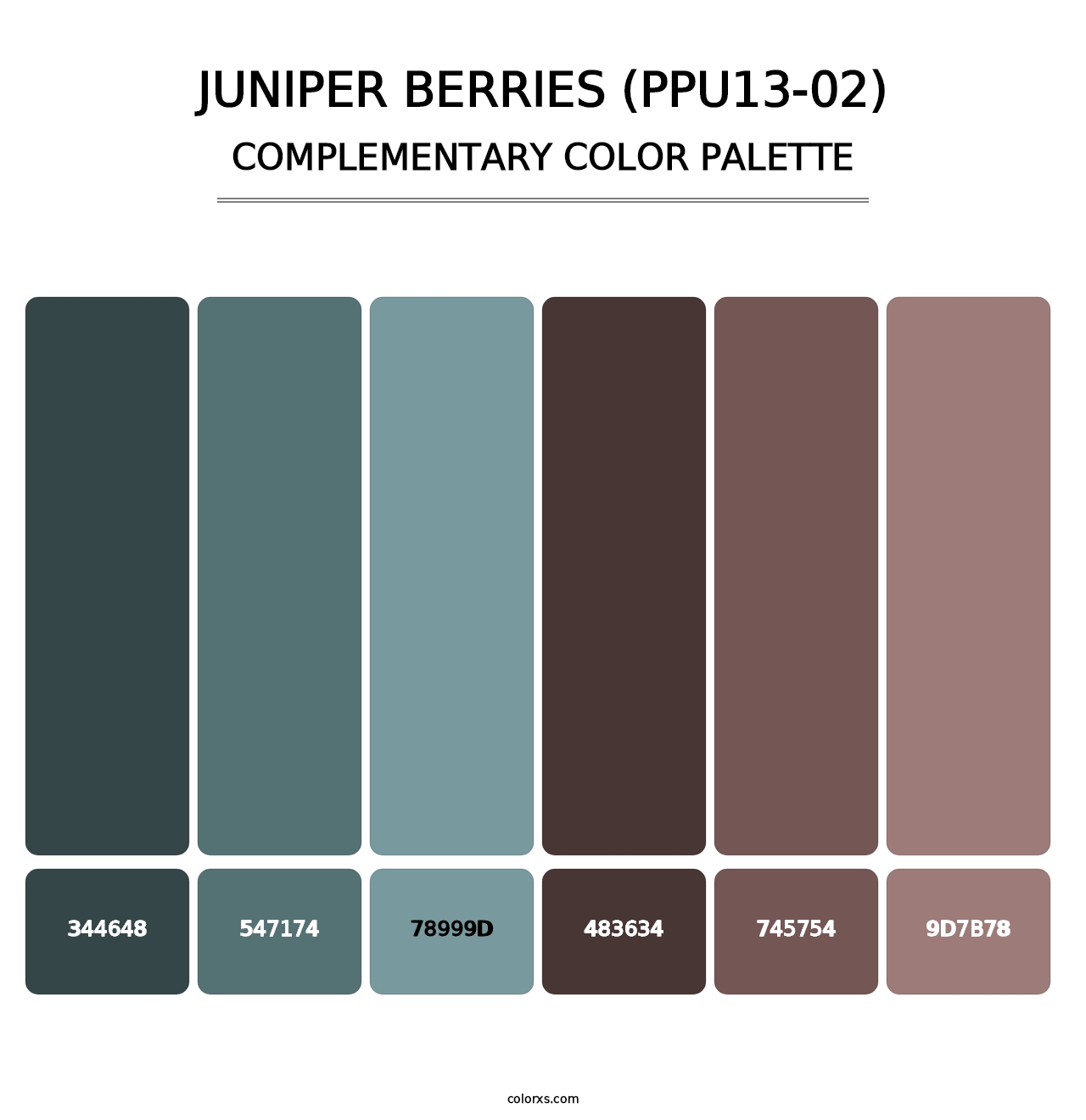 Juniper Berries (PPU13-02) - Complementary Color Palette