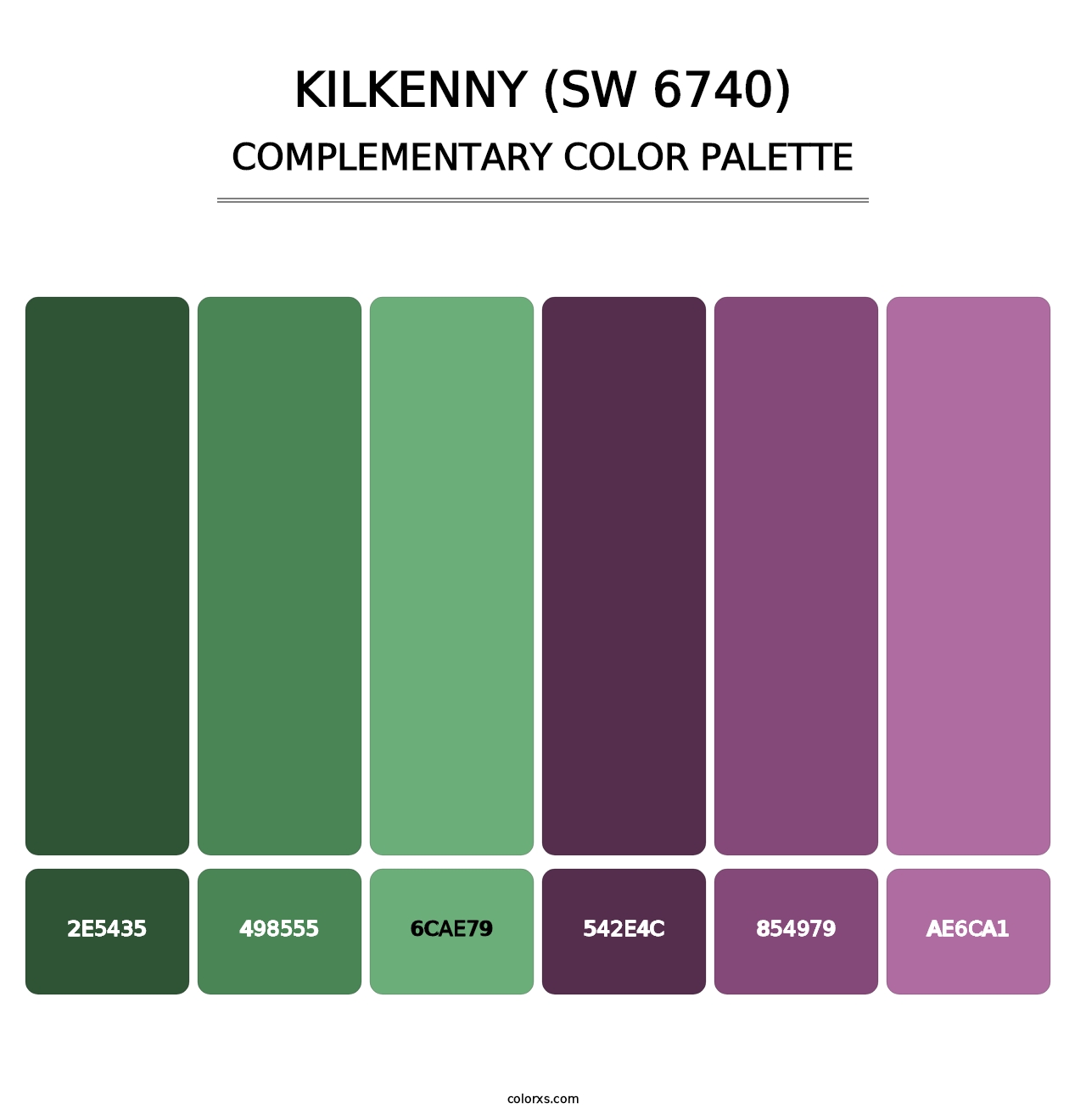 Kilkenny (SW 6740) - Complementary Color Palette