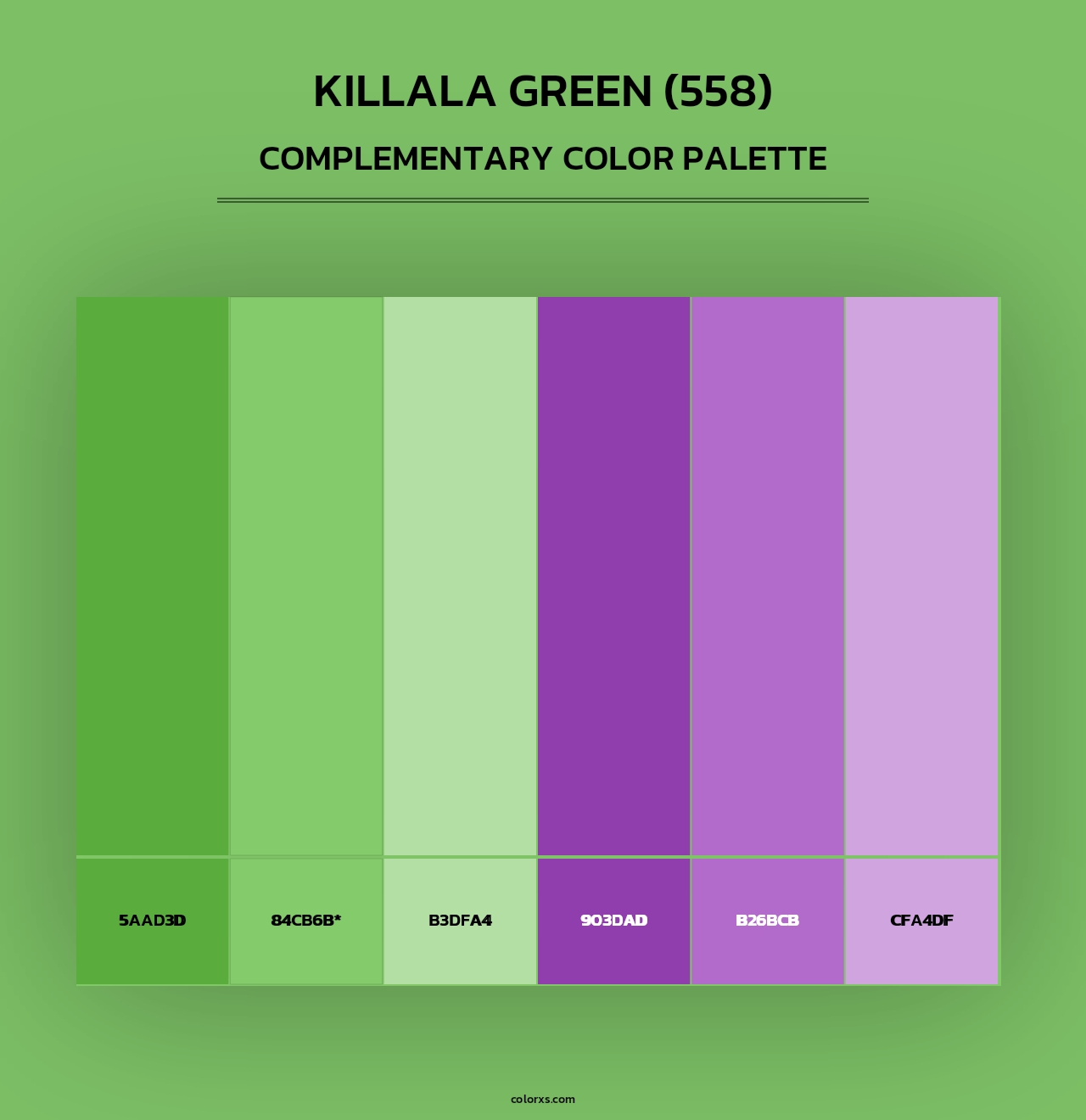 Killala Green (558) - Complementary Color Palette