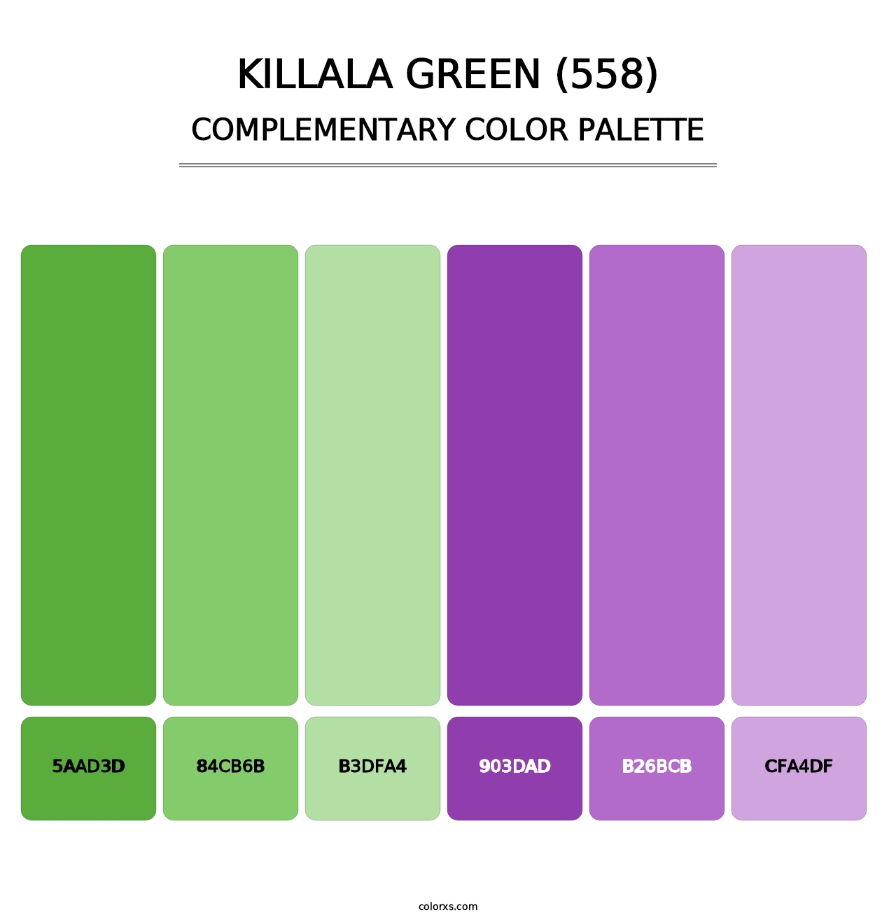 Killala Green (558) - Complementary Color Palette