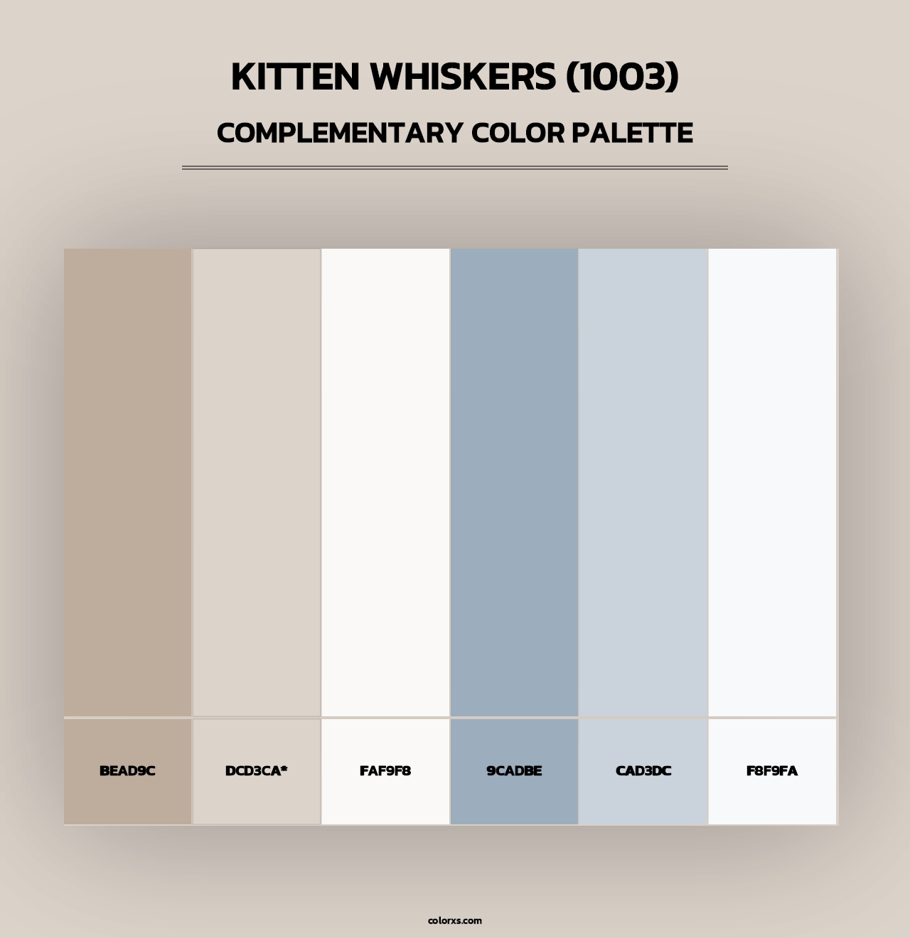 Kitten Whiskers (1003) - Complementary Color Palette