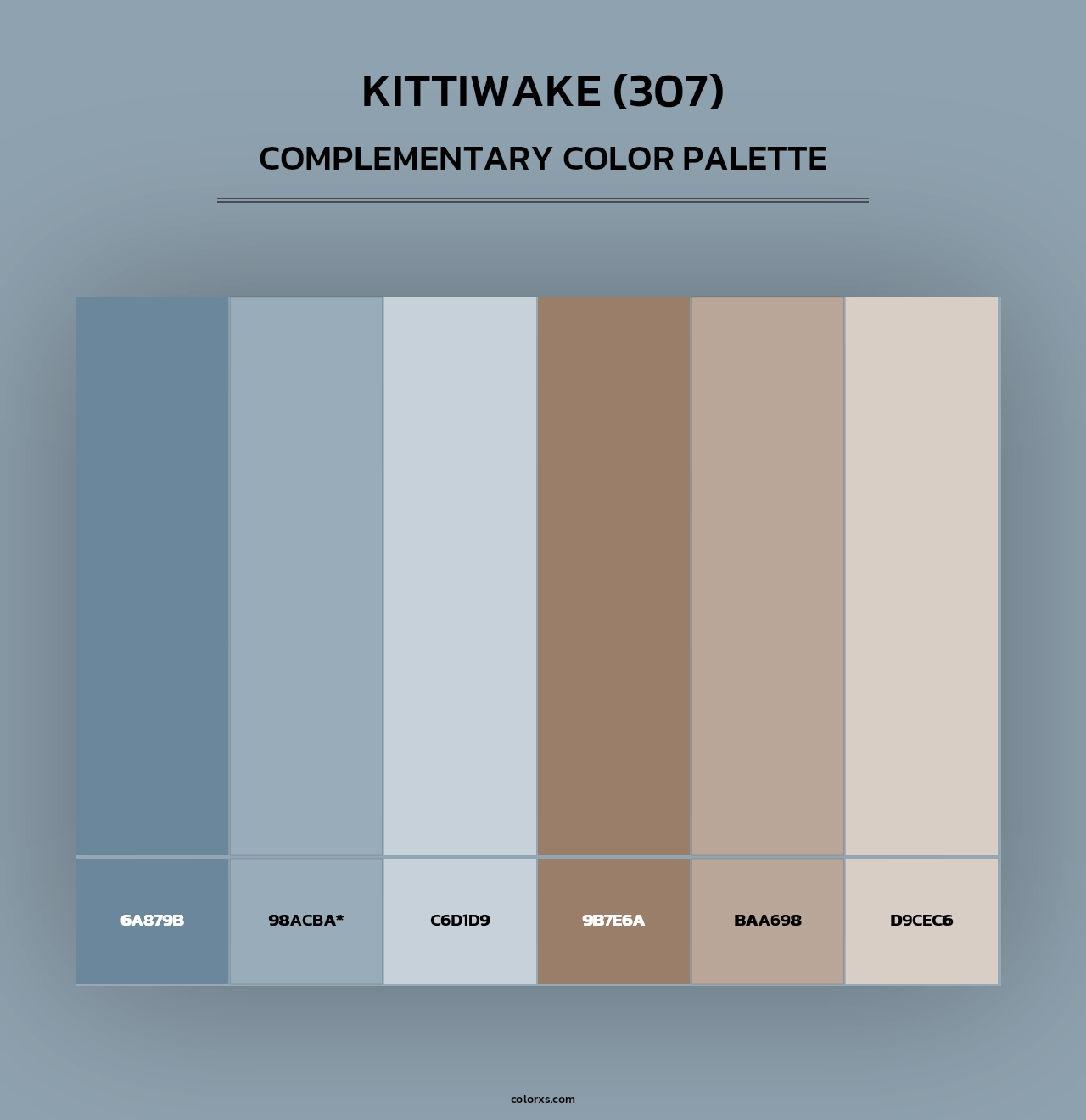 Kittiwake (307) - Complementary Color Palette