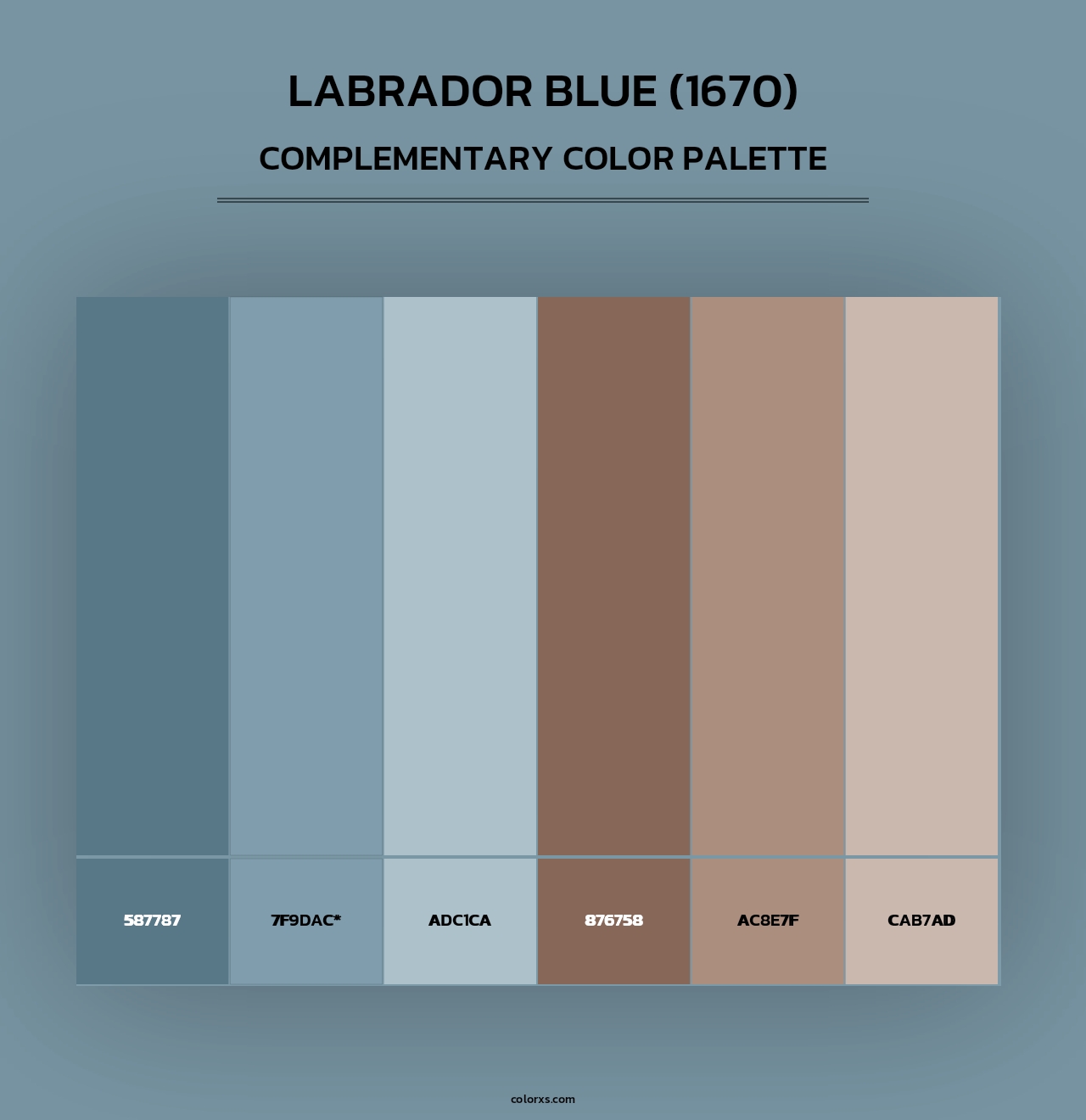 Labrador Blue (1670) - Complementary Color Palette