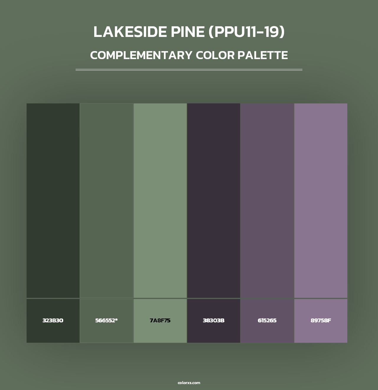 Lakeside Pine (PPU11-19) - Complementary Color Palette