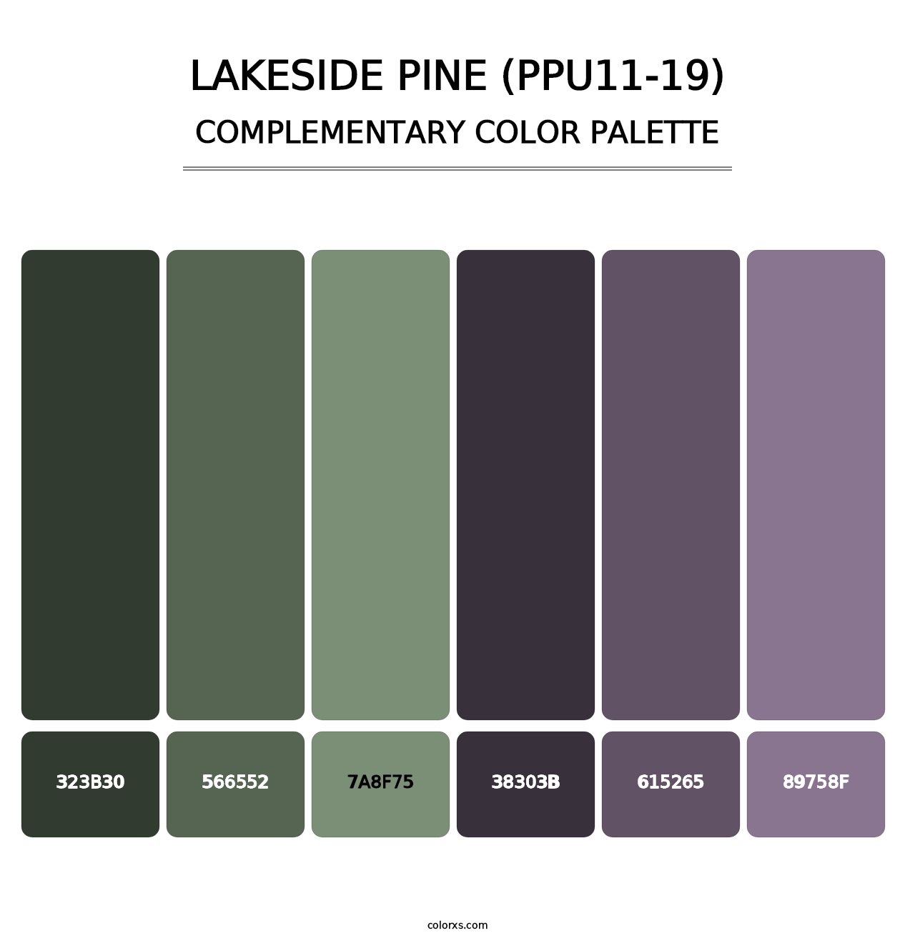 Lakeside Pine (PPU11-19) - Complementary Color Palette