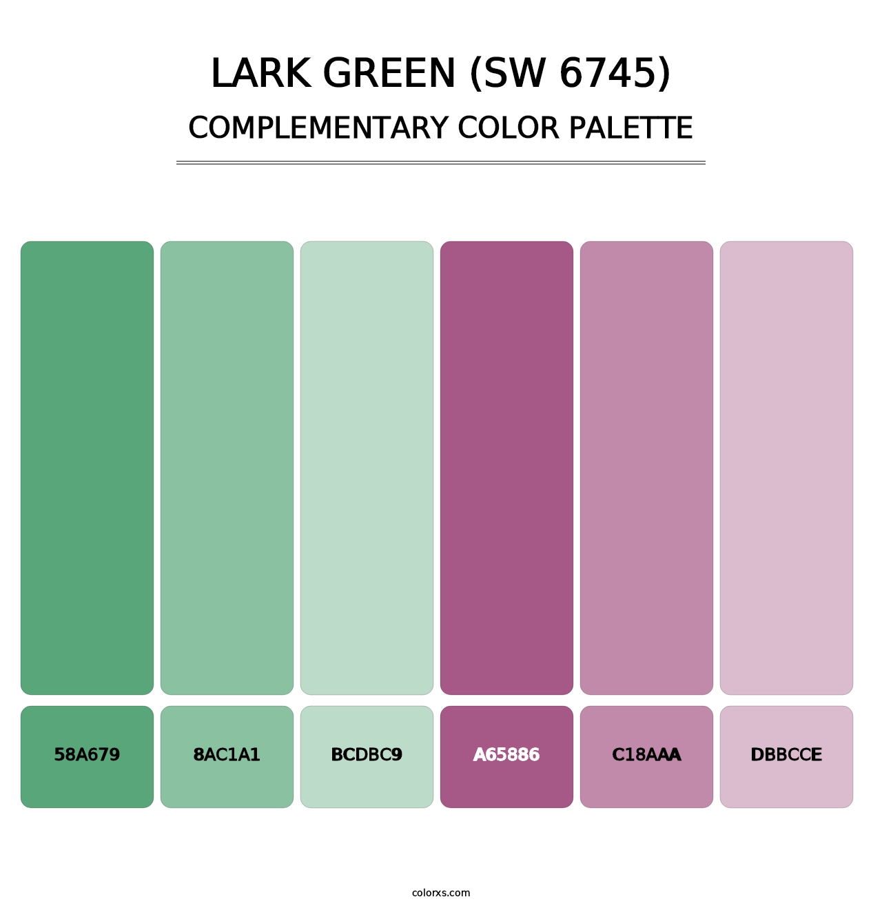 Lark Green (SW 6745) - Complementary Color Palette
