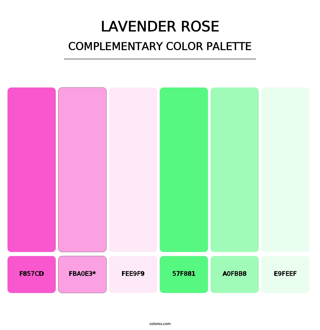 Lavender Rose - Complementary Color Palette