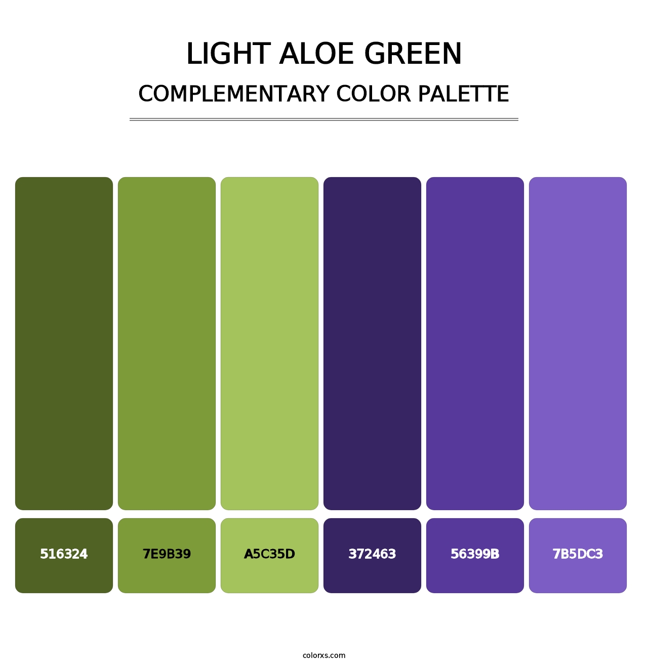 Light Aloe Green - Complementary Color Palette