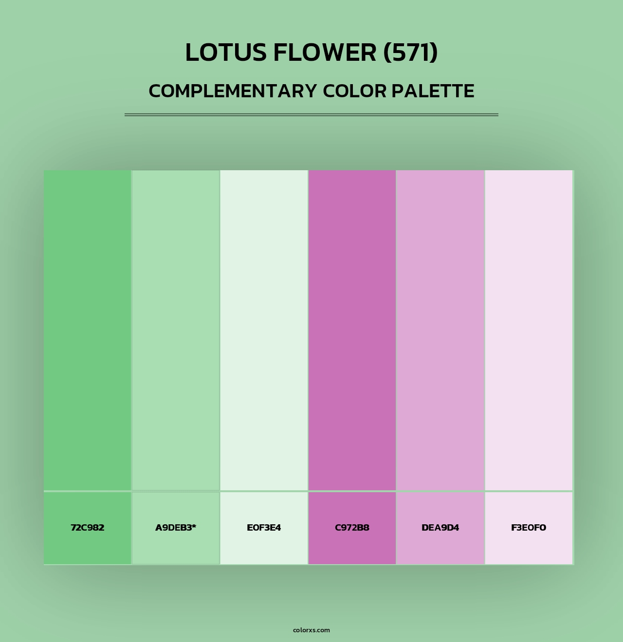 Lotus Flower (571) - Complementary Color Palette