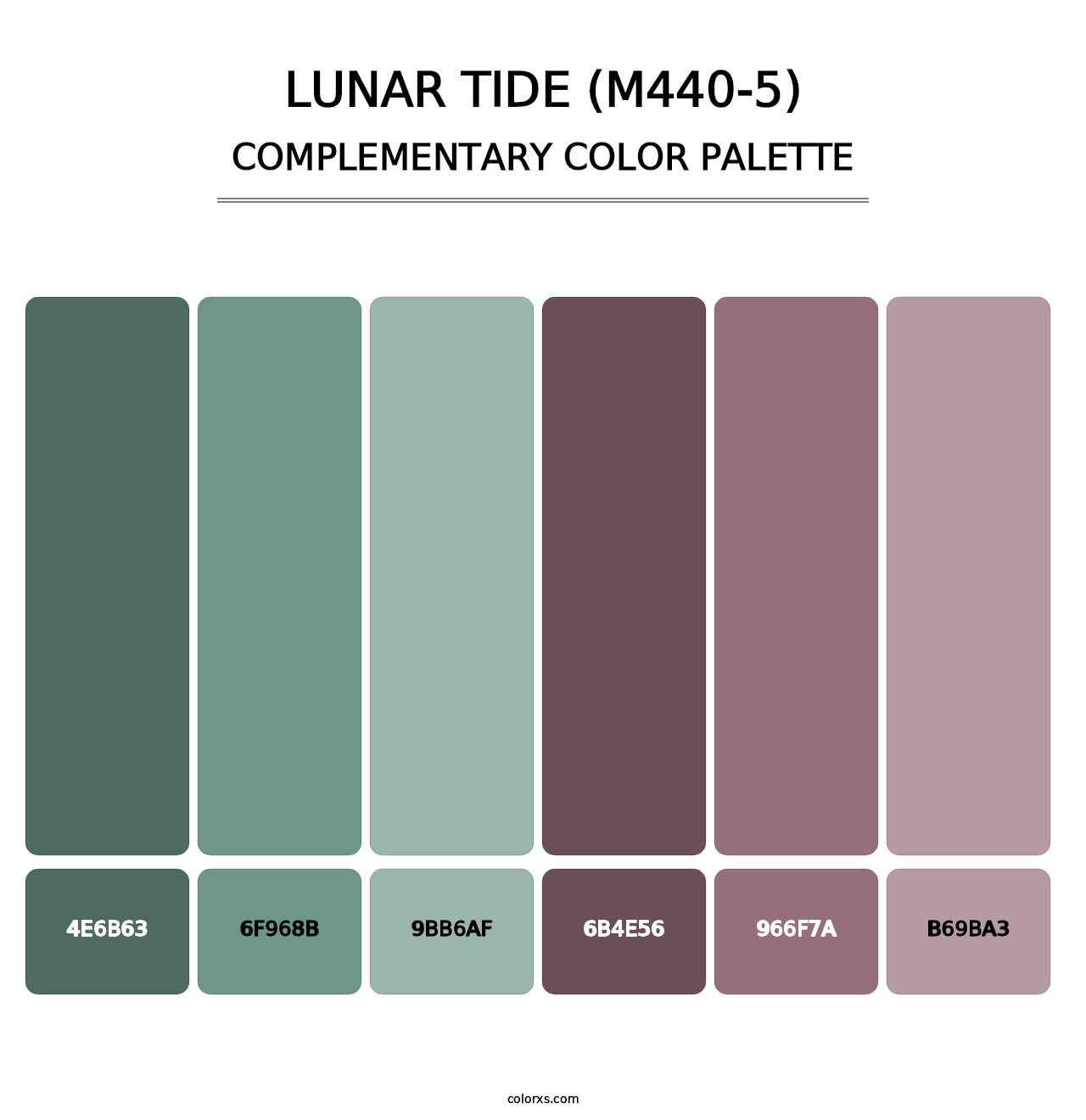 Lunar Tide (M440-5) - Complementary Color Palette