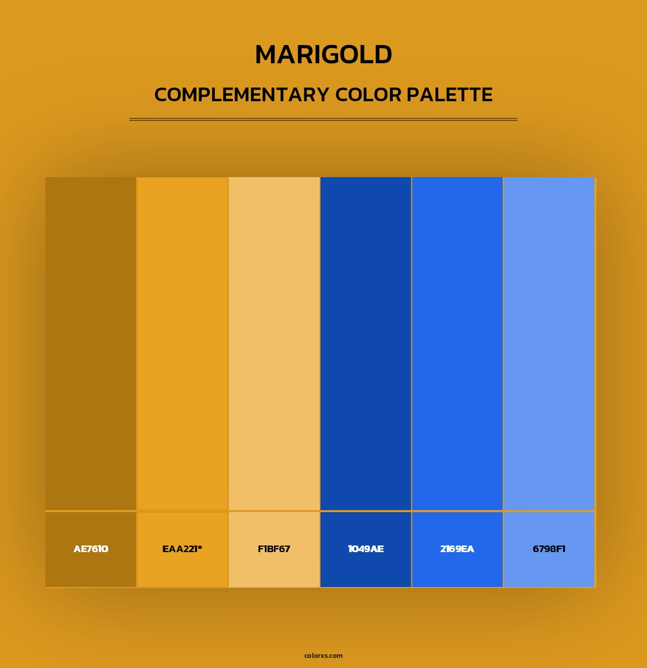 Marigold - Complementary Color Palette