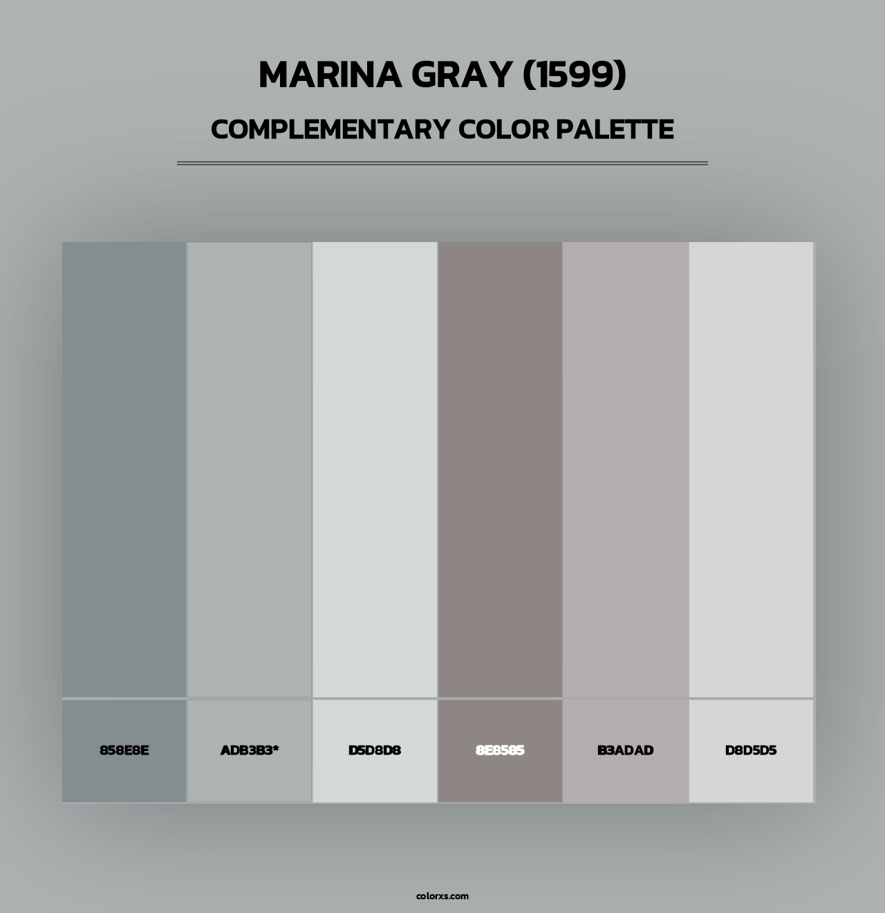 Marina Gray (1599) - Complementary Color Palette
