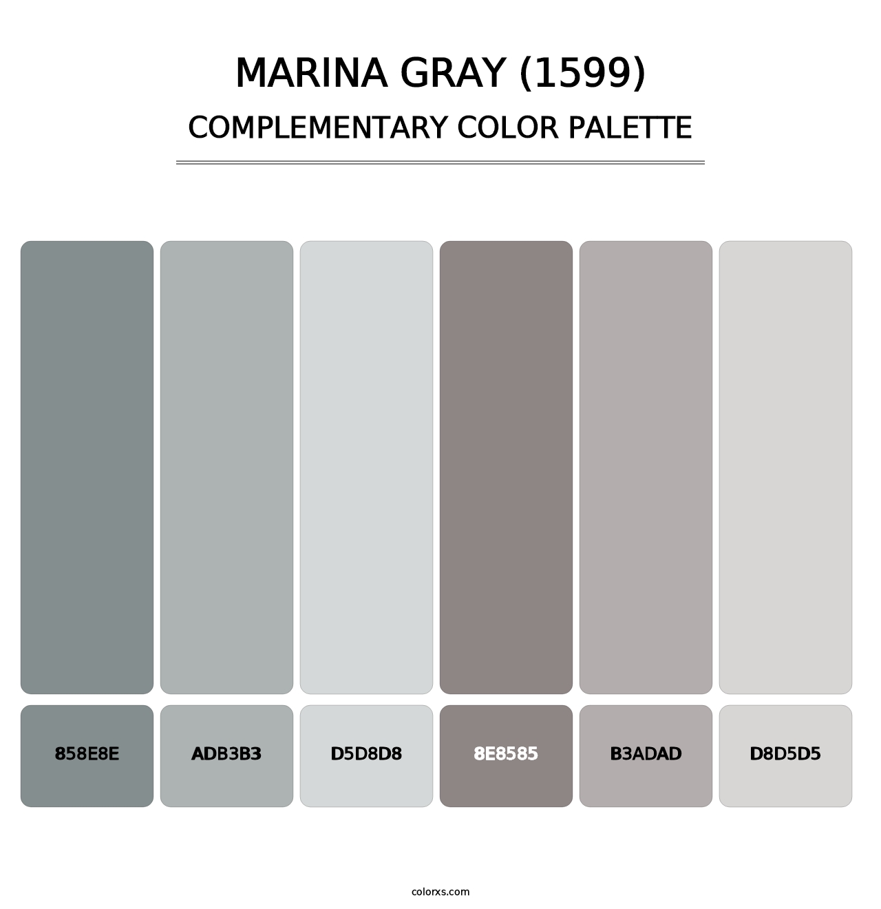 Marina Gray (1599) - Complementary Color Palette