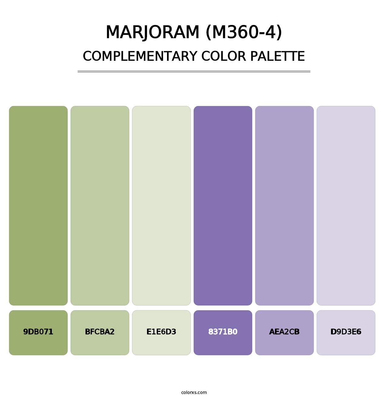 Marjoram (M360-4) - Complementary Color Palette