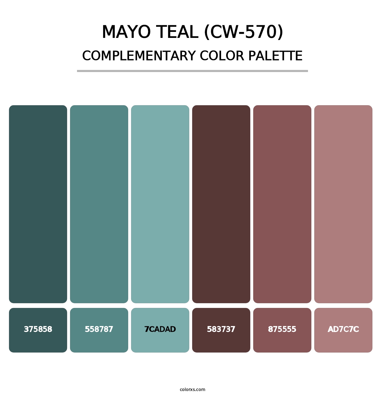Mayo Teal (CW-570) - Complementary Color Palette