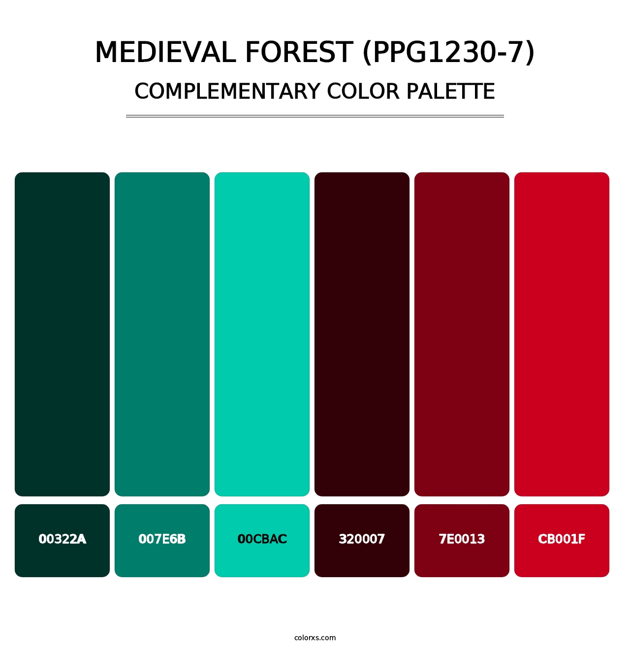 Medieval Forest (PPG1230-7) - Complementary Color Palette