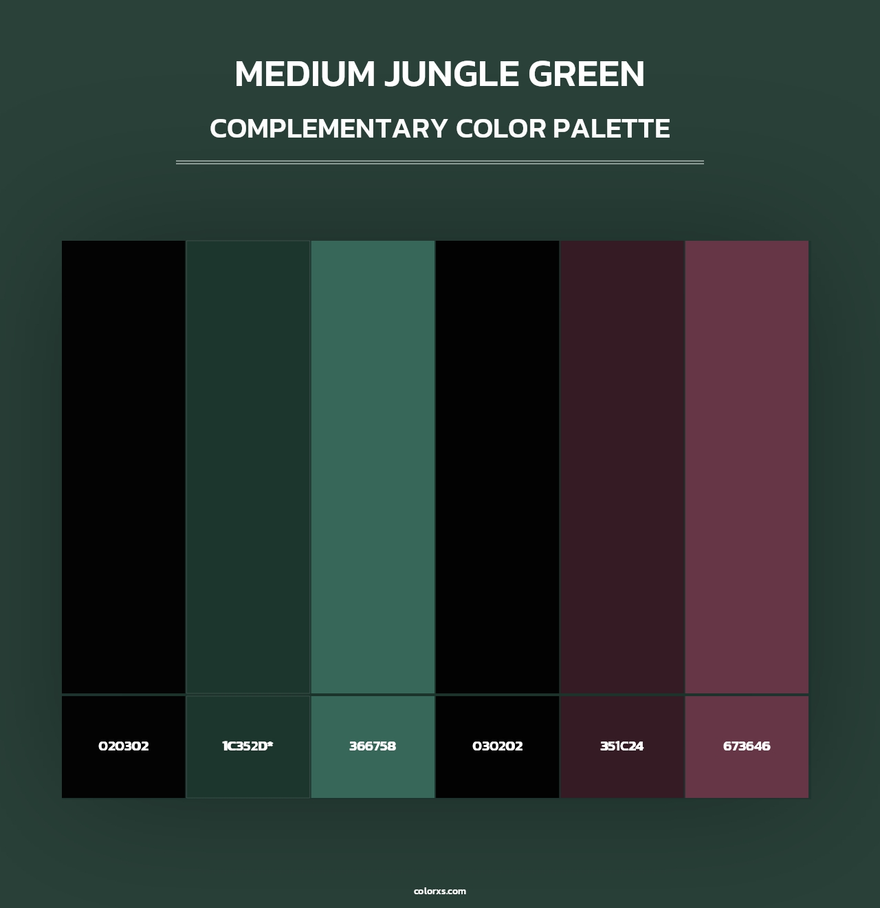 Medium Jungle Green - Complementary Color Palette