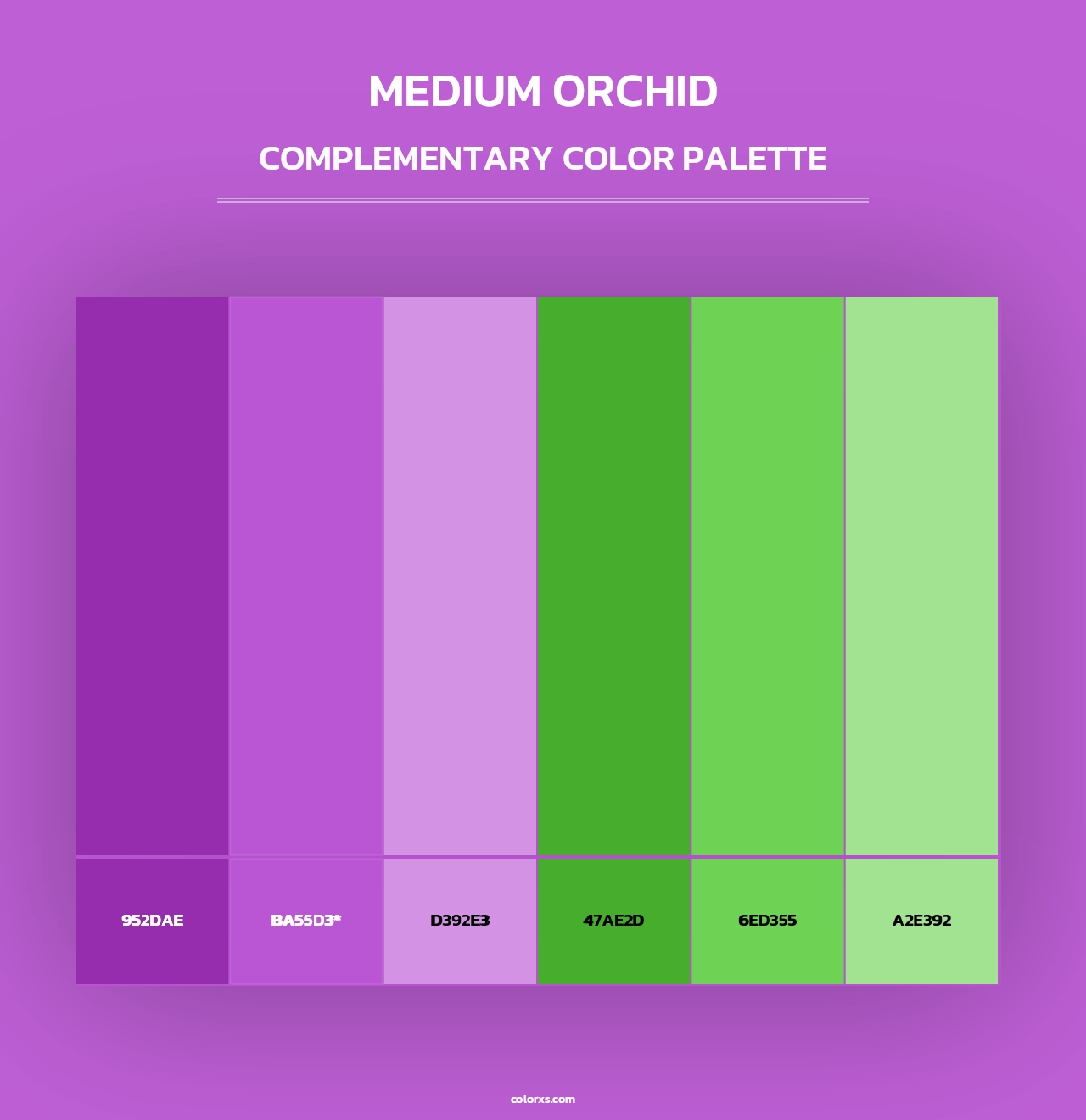 Medium Orchid - Complementary Color Palette