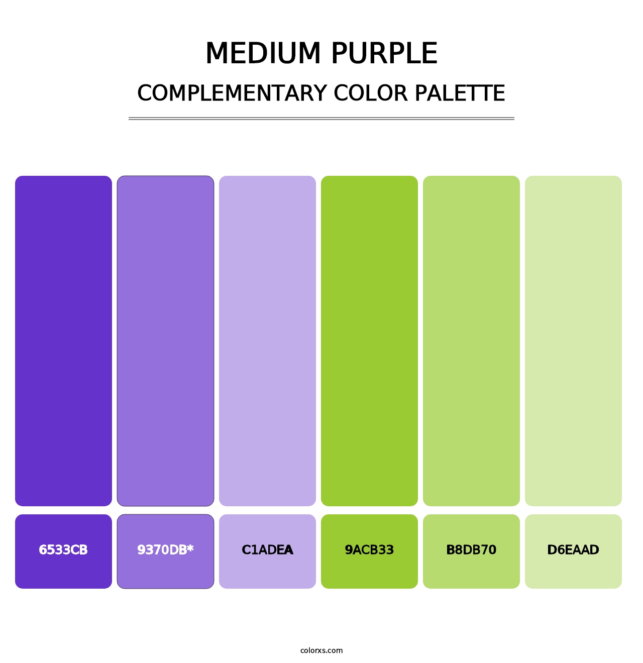 Medium Purple - Complementary Color Palette