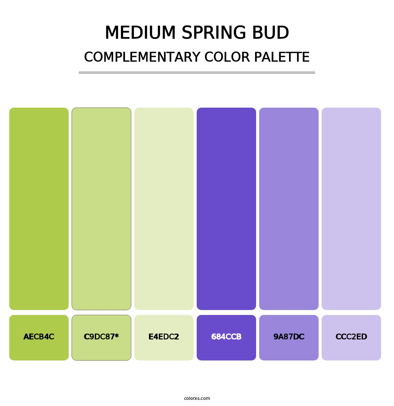 Medium Spring Bud - Complementary Color Palette