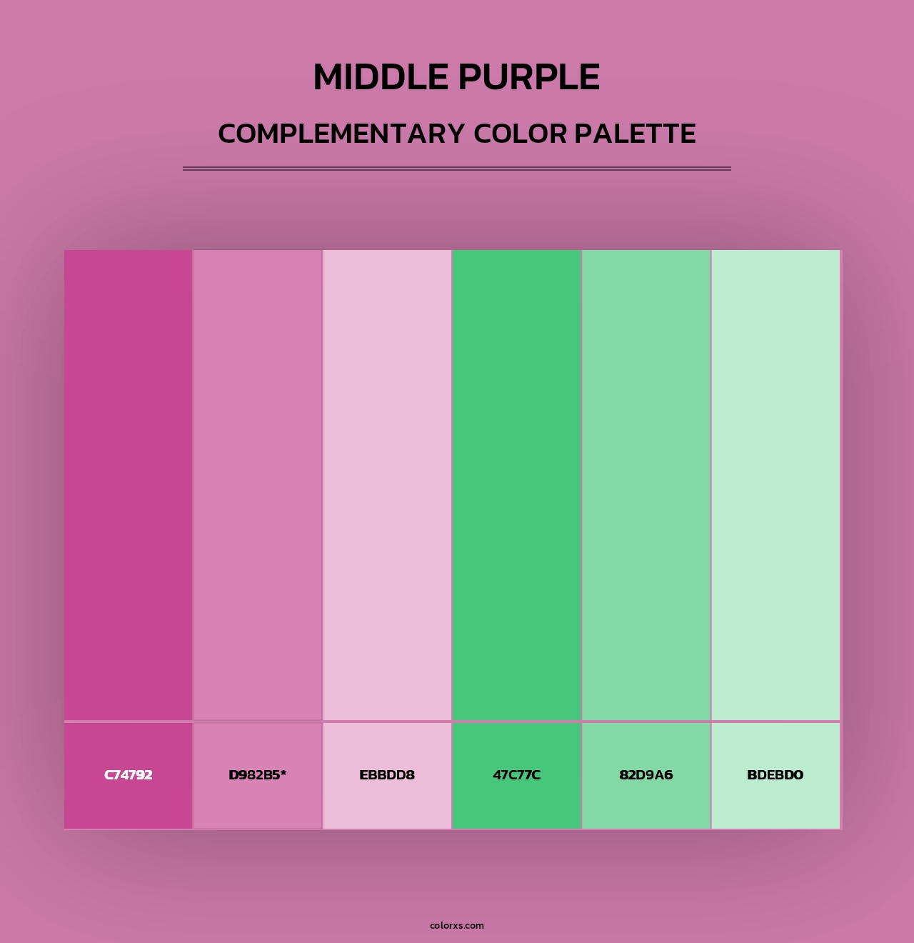 Middle Purple - Complementary Color Palette