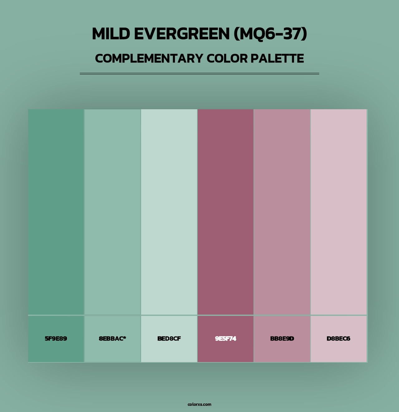 Mild Evergreen (MQ6-37) - Complementary Color Palette