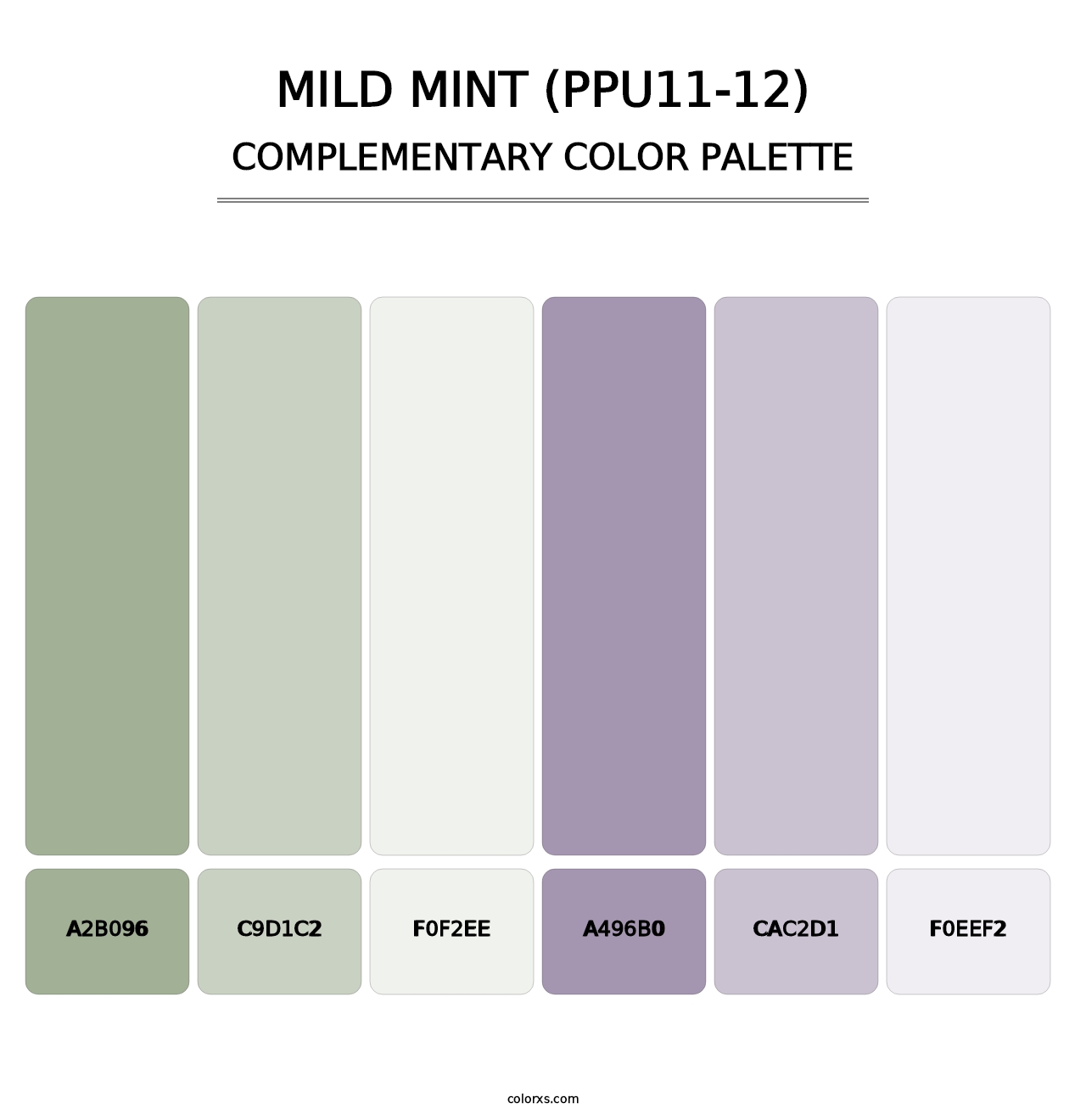 Mild Mint (PPU11-12) - Complementary Color Palette