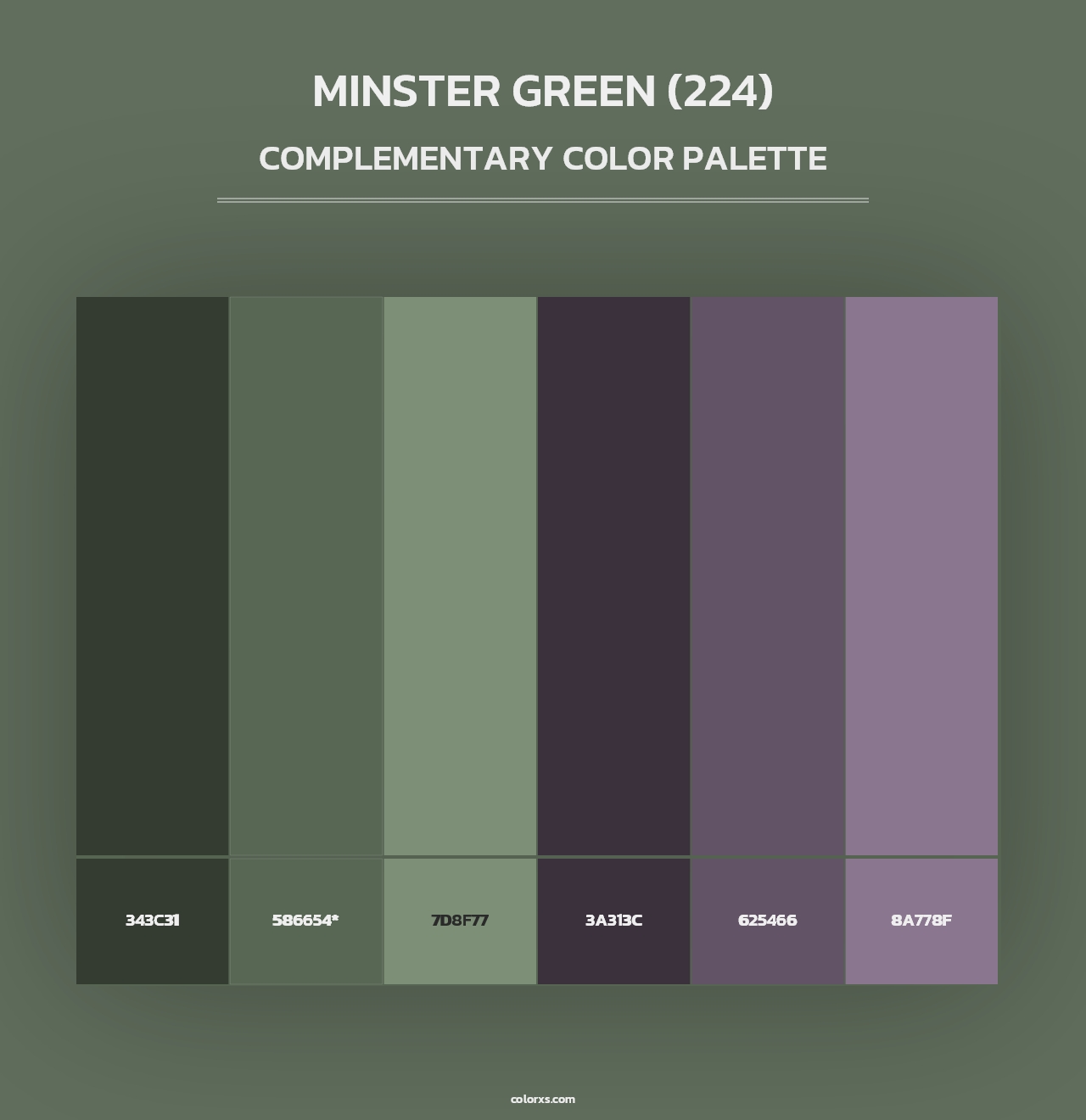 Minster Green (224) - Complementary Color Palette