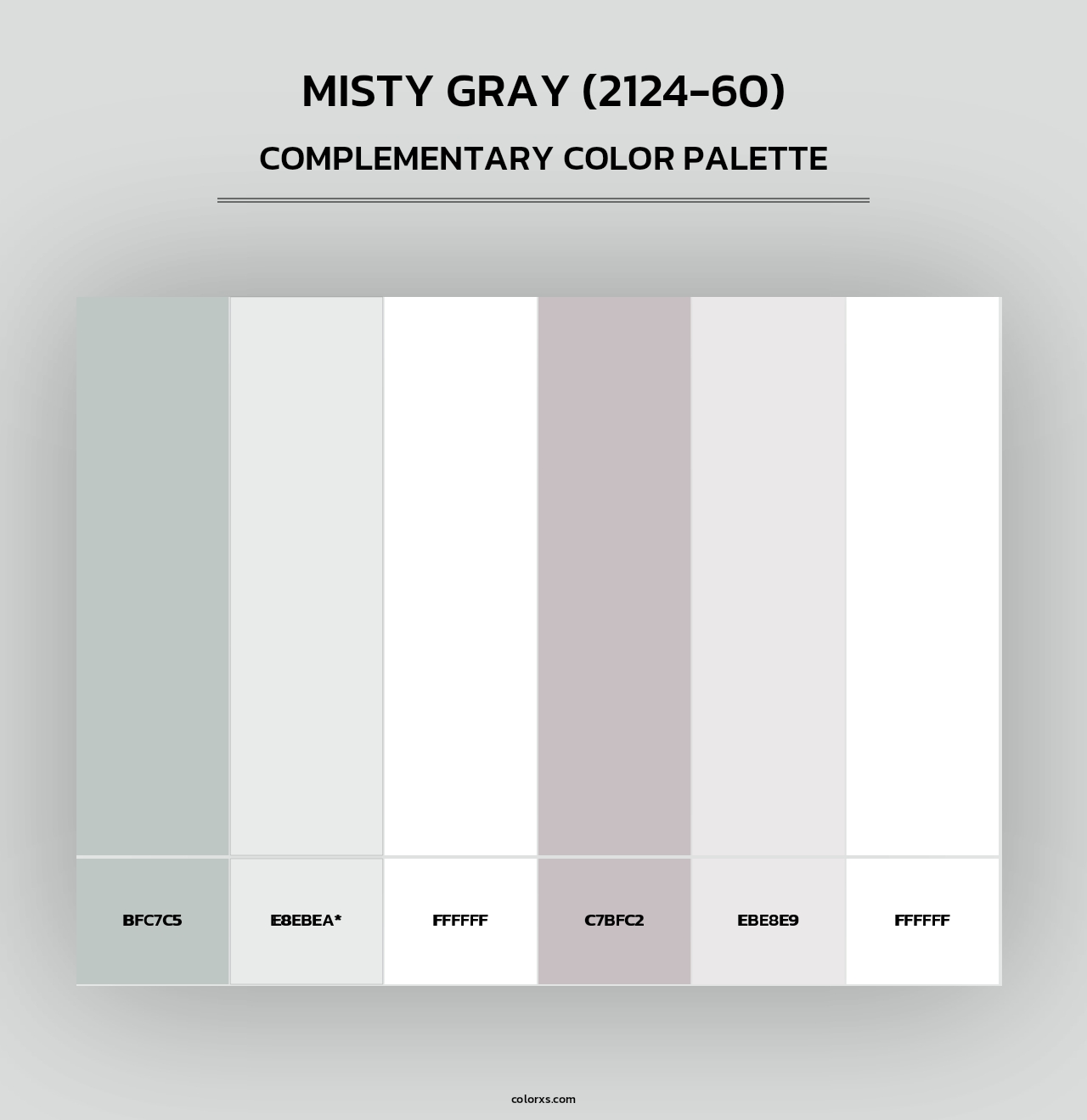 Misty Gray (2124-60) - Complementary Color Palette