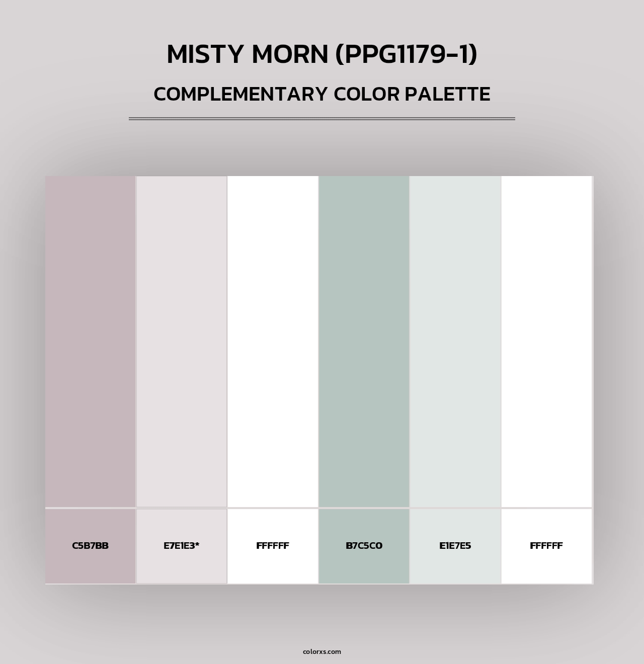 Misty Morn (PPG1179-1) - Complementary Color Palette