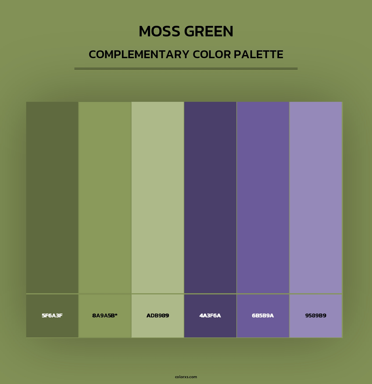 Moss Green - Complementary Color Palette