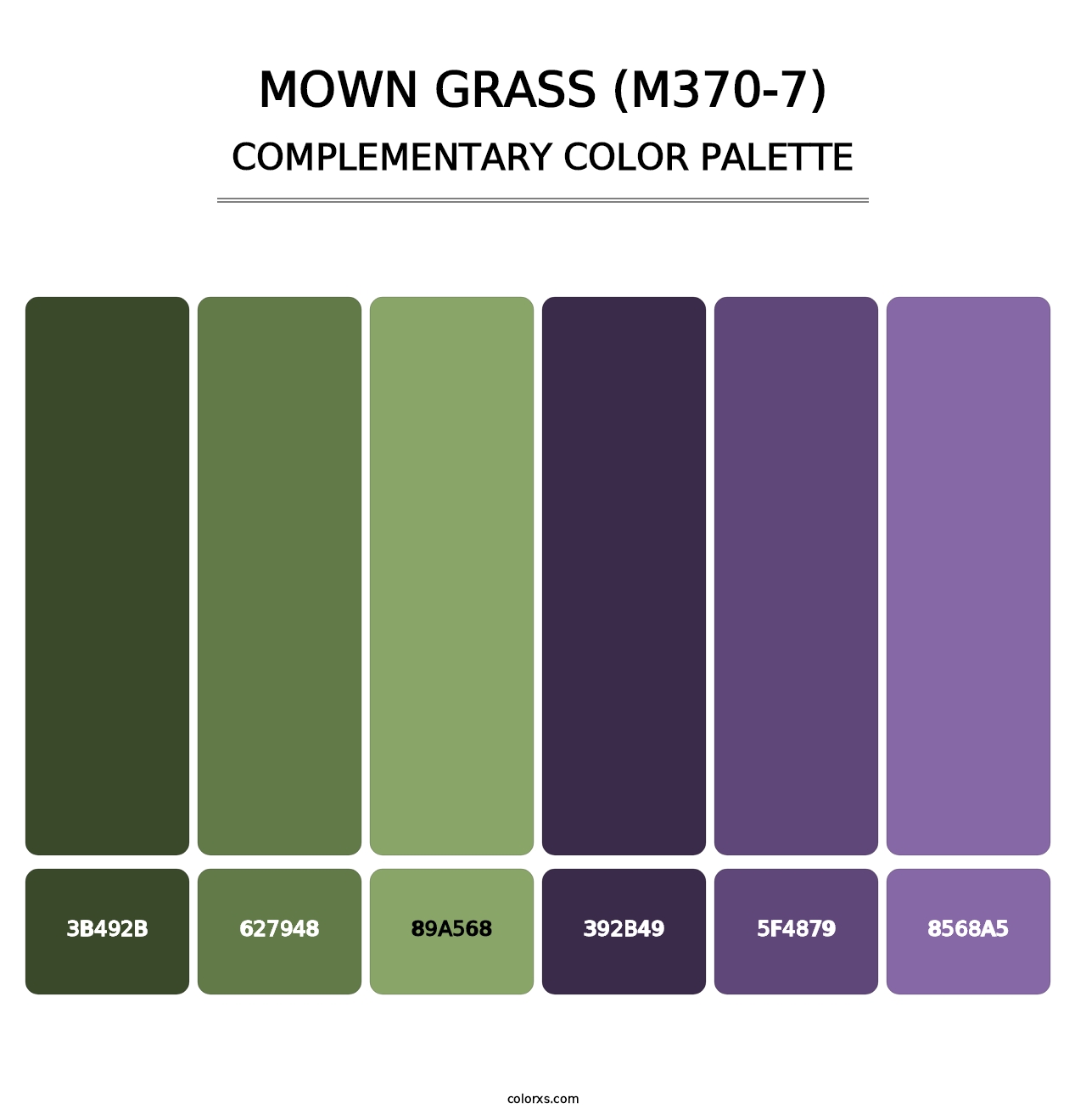 Mown Grass (M370-7) - Complementary Color Palette