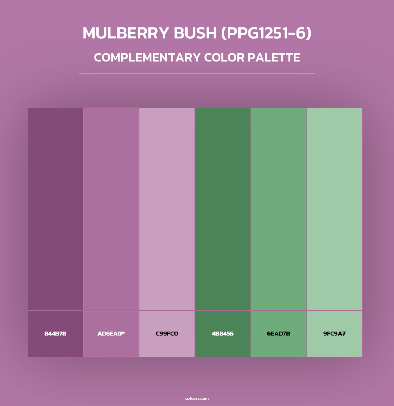 Mulberry Bush (PPG1251-6) - Complementary Color Palette