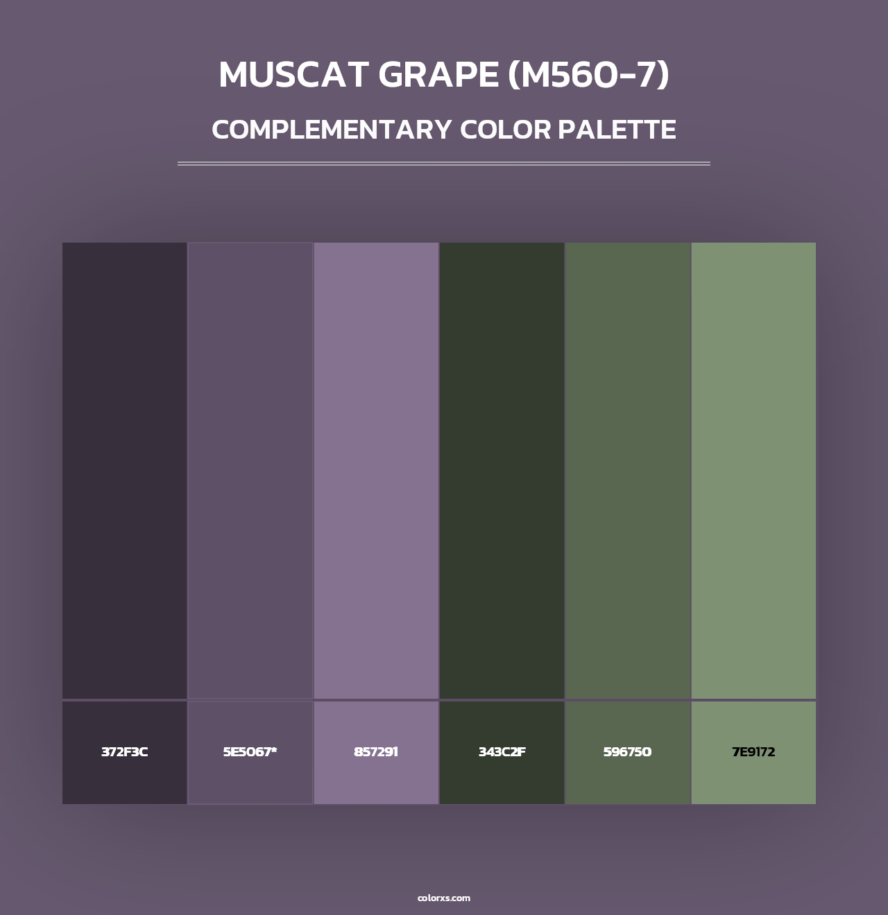 Muscat Grape (M560-7) - Complementary Color Palette