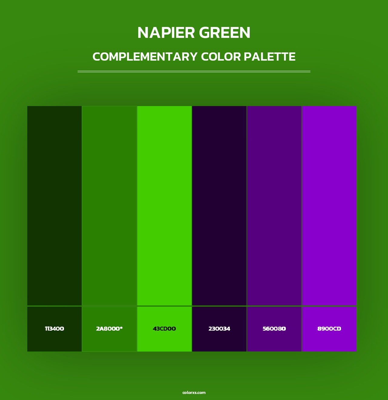 Napier Green - Complementary Color Palette