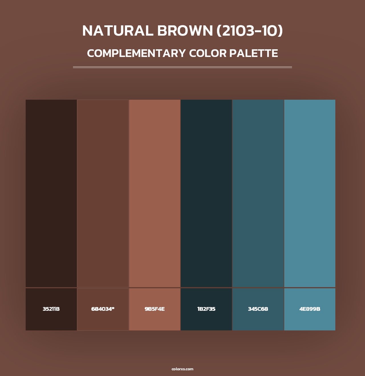 Natural Brown (2103-10) - Complementary Color Palette
